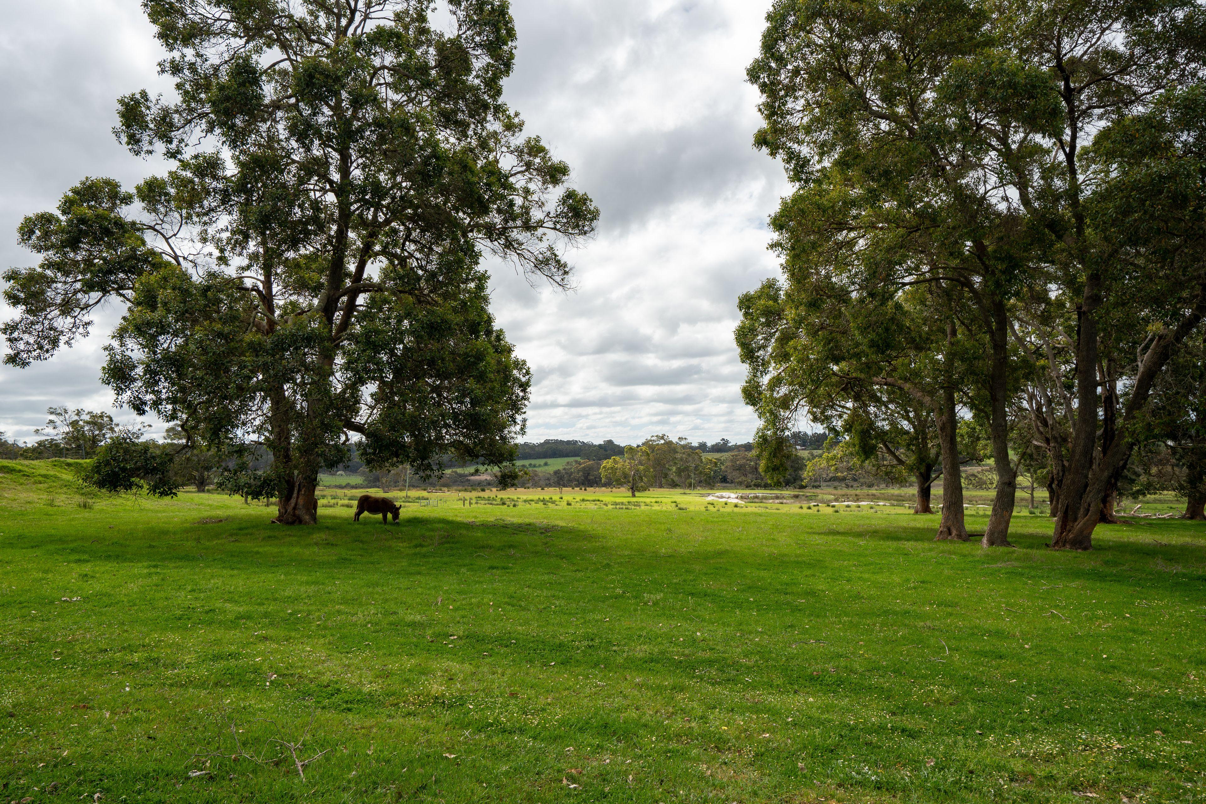 Immaculate Rural Lifestyle Property With Stunning Home.
