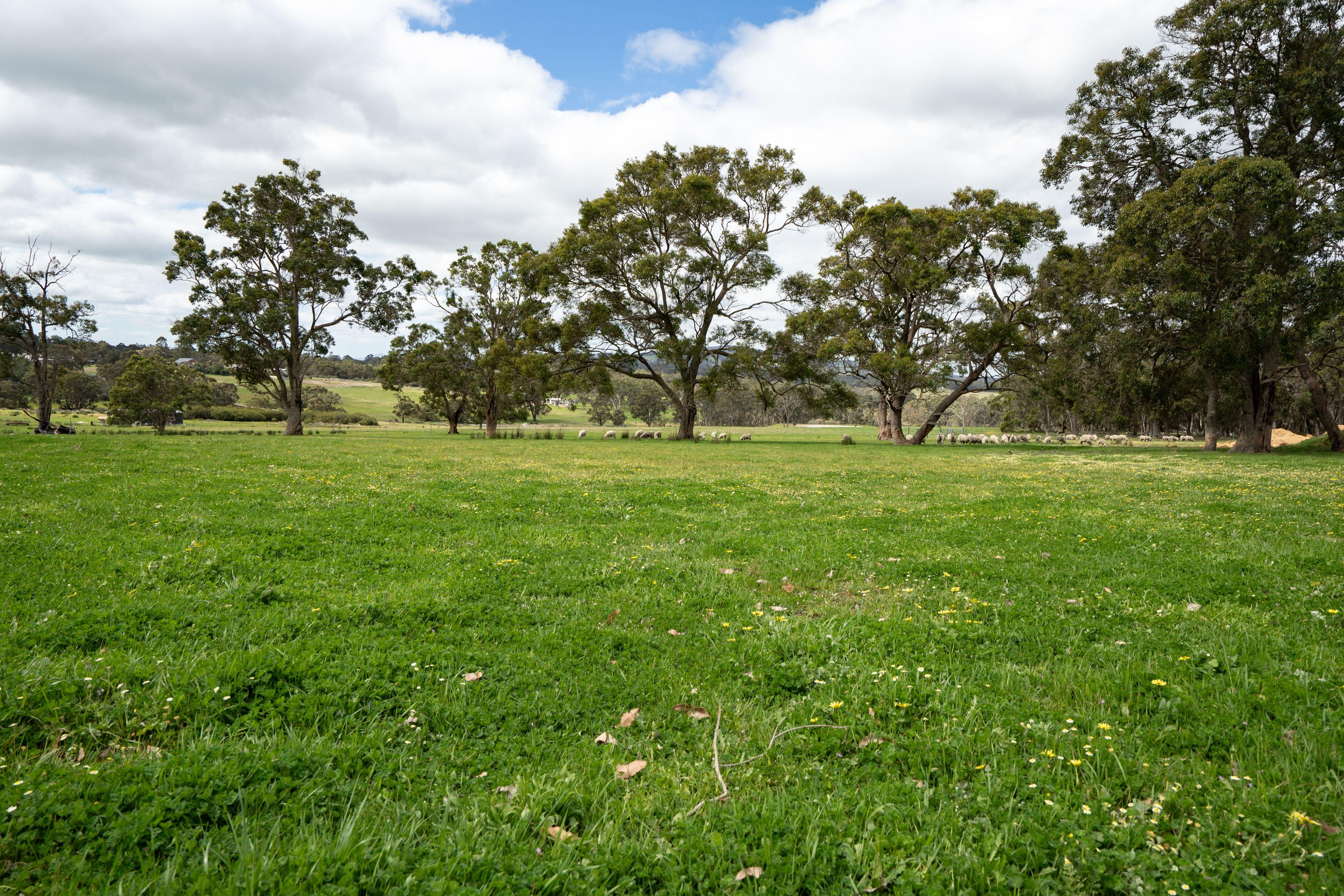 Immaculate Rural Lifestyle Property With Stunning Home.