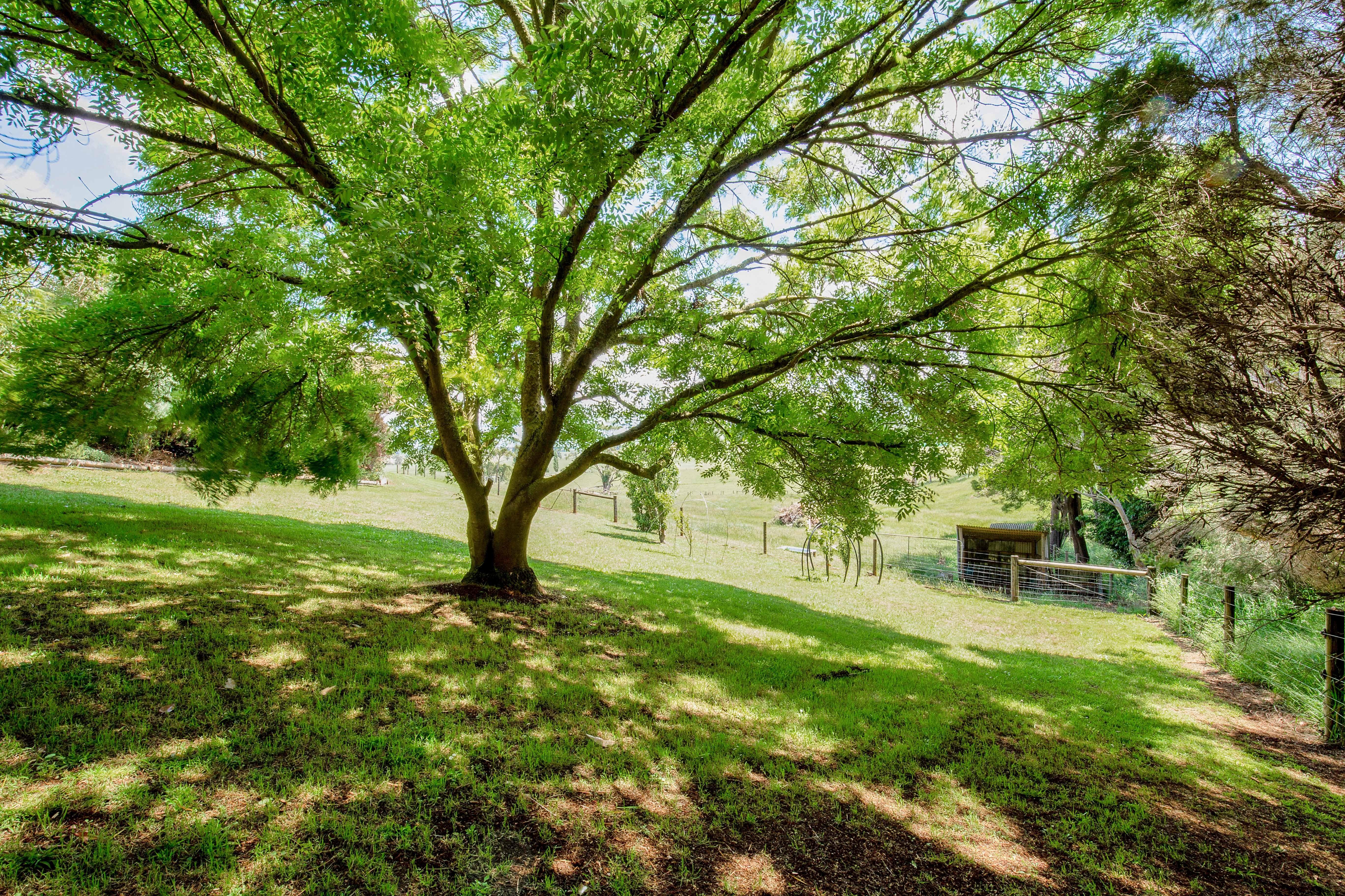 Peaceful country living with town convenience