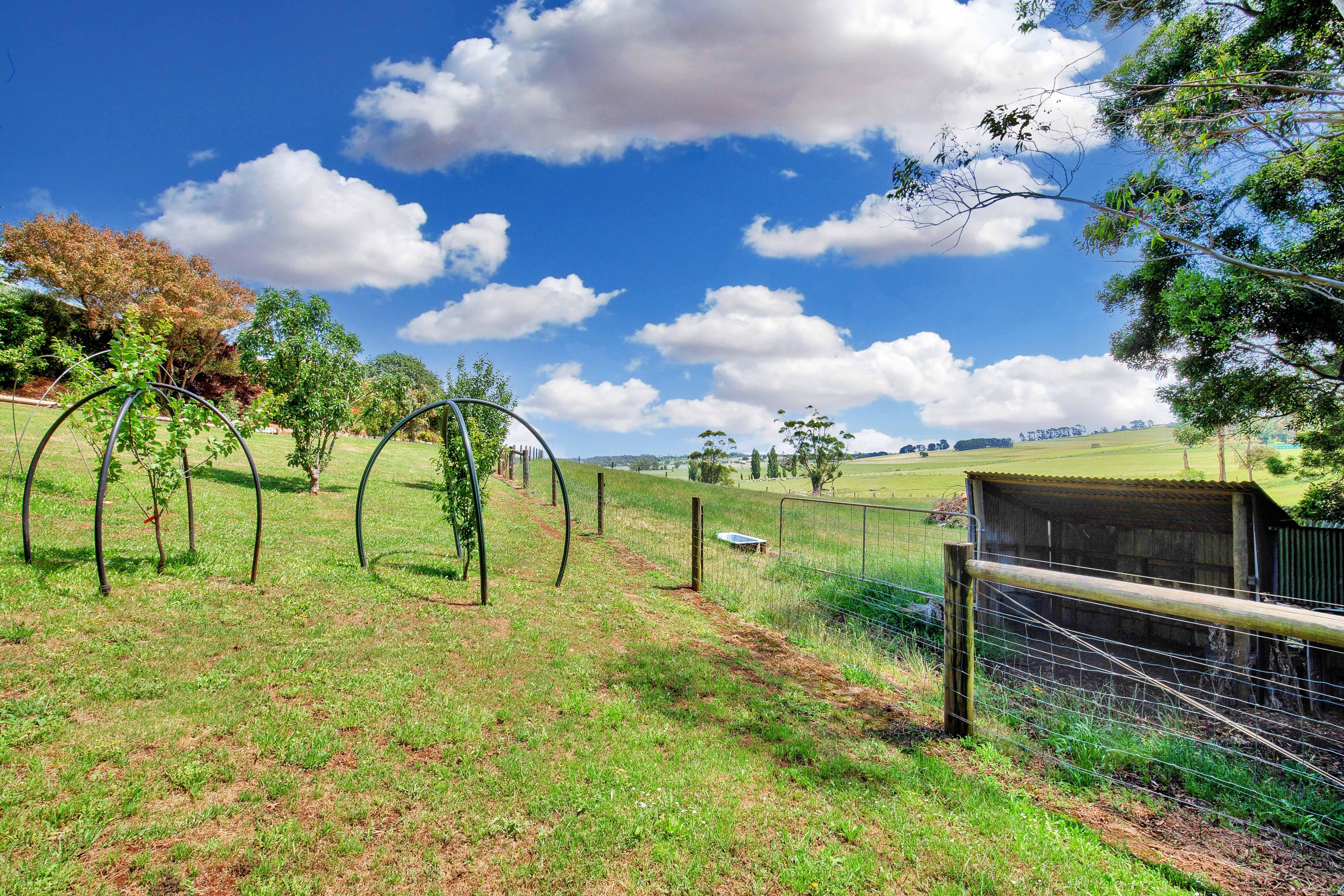 Peaceful country living with town convenience