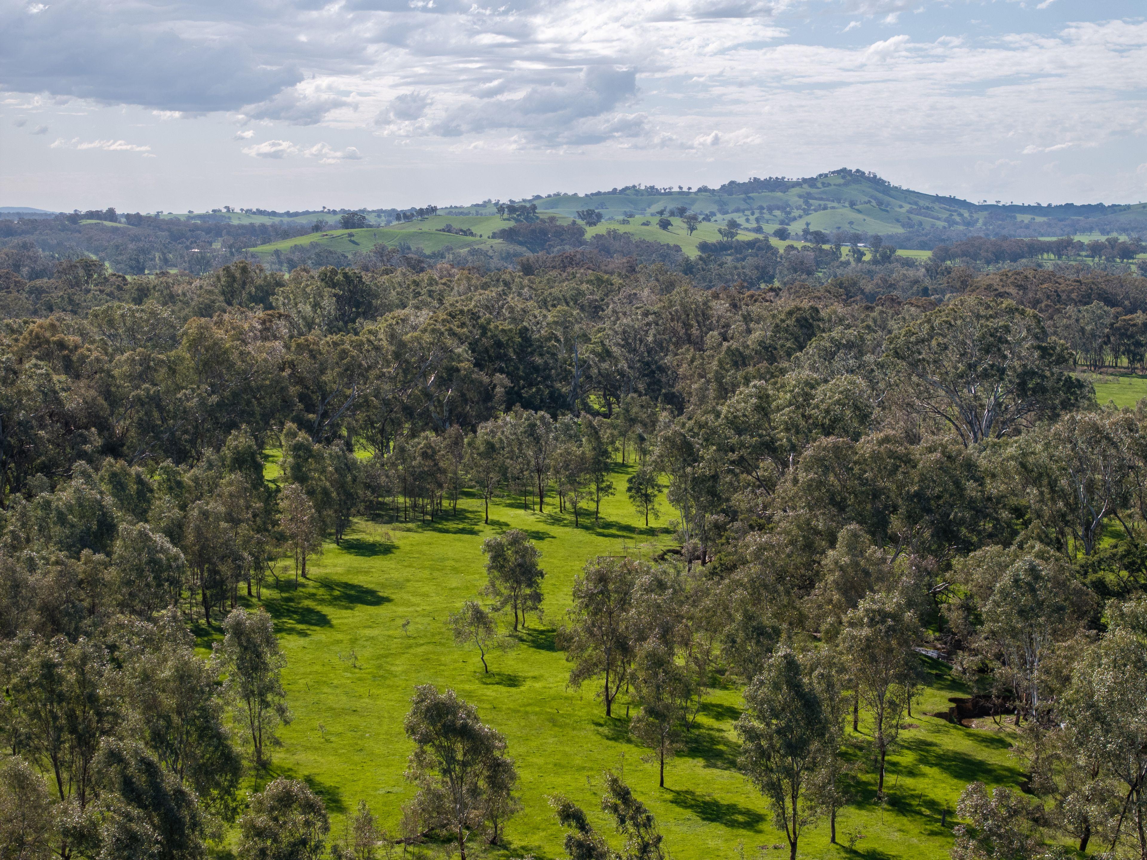 546 ACRES - SAME FAMILY OWNERSHIP SINCE 1840