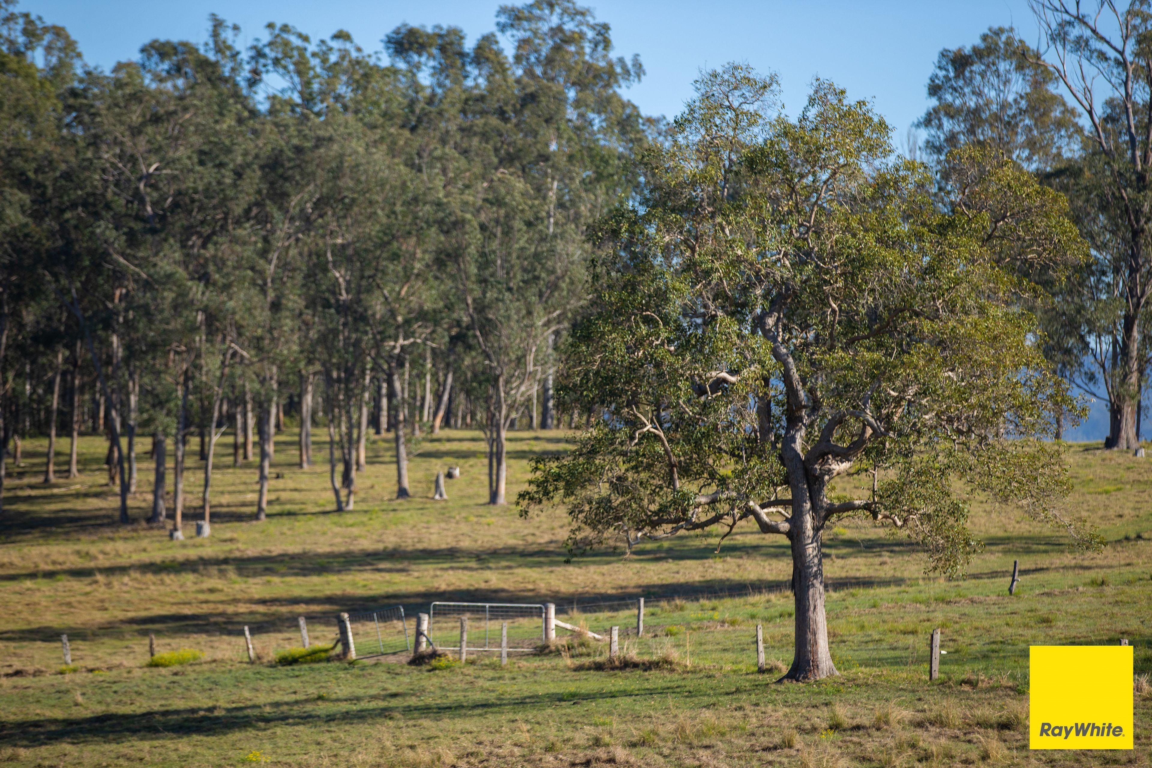 Where Paradise Meets The Ranges on the Mighty Clarence