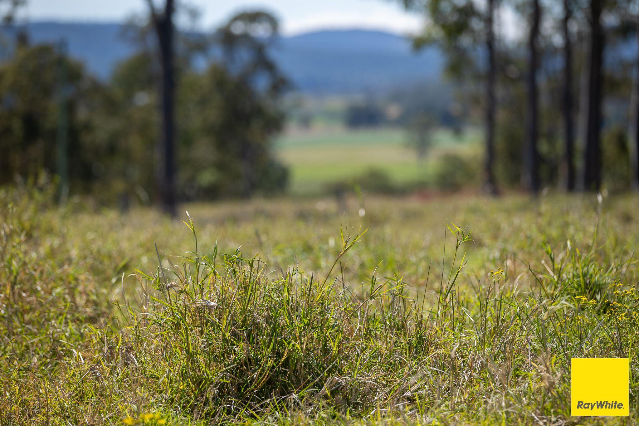 Where Paradise Meets The Ranges on the Mighty Clarence