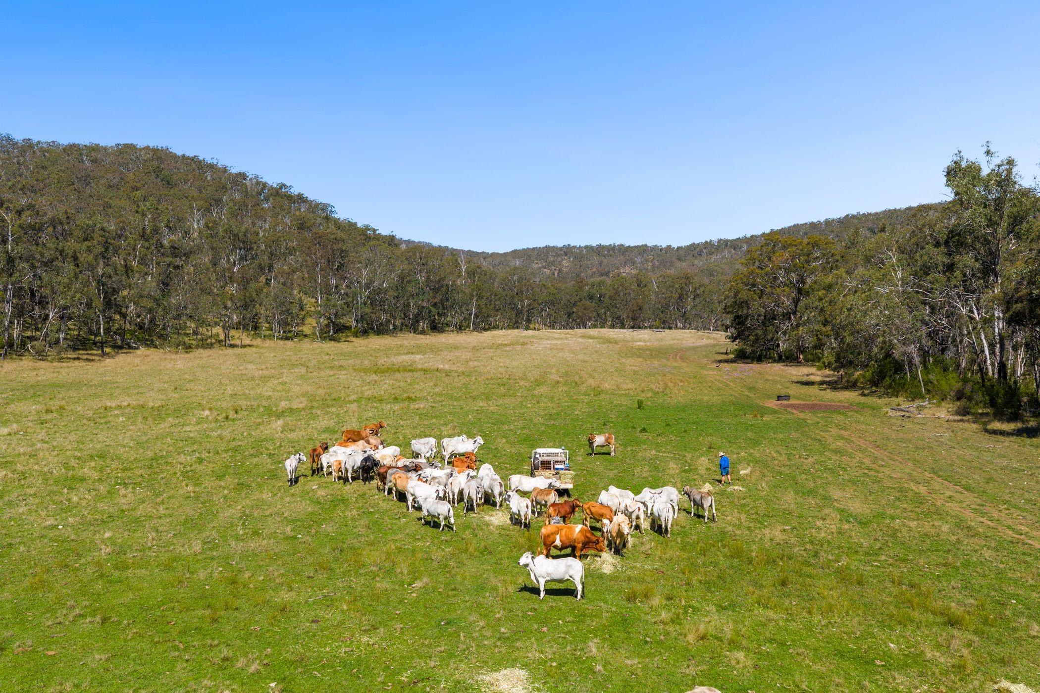 Prop-GPT: Other: QLD Upper Pilton, QLD 4361 Rural