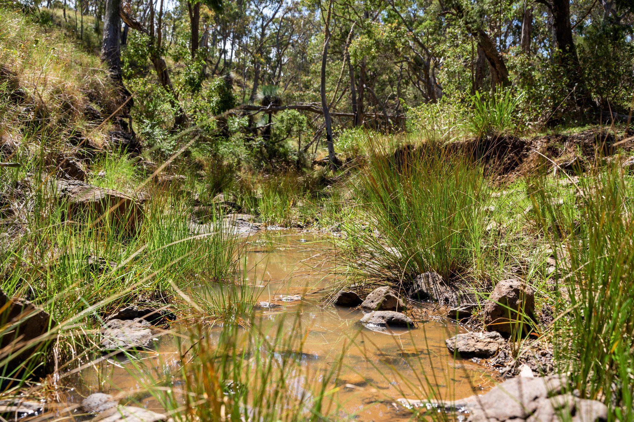 'YABRAGUNYAH' - PREMIER GRAZING COUNTRY WITH UNRIVALLED VIEWS