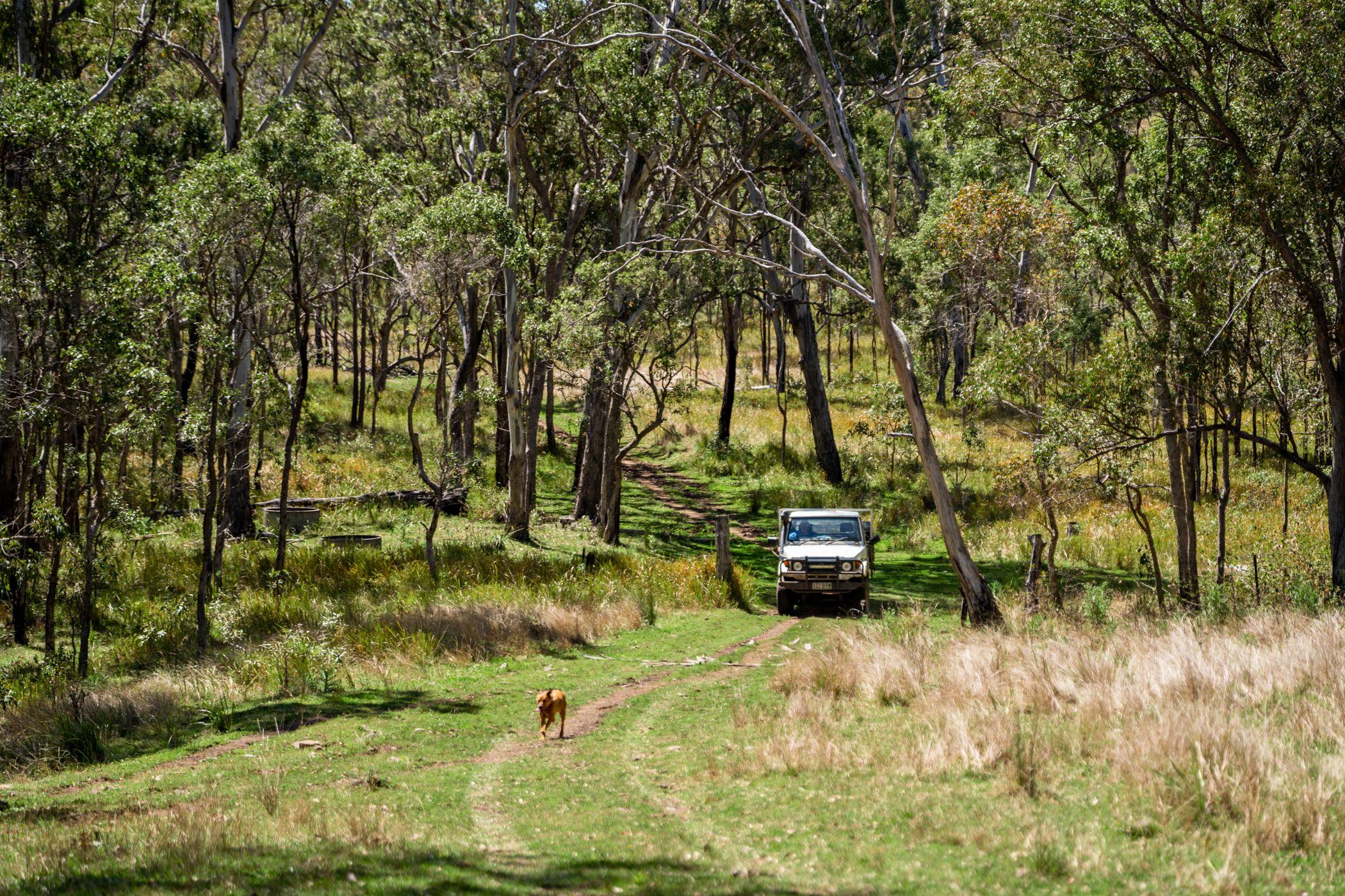 'YABRAGUNYAH' - PREMIER GRAZING COUNTRY WITH UNRIVALLED VIEWS