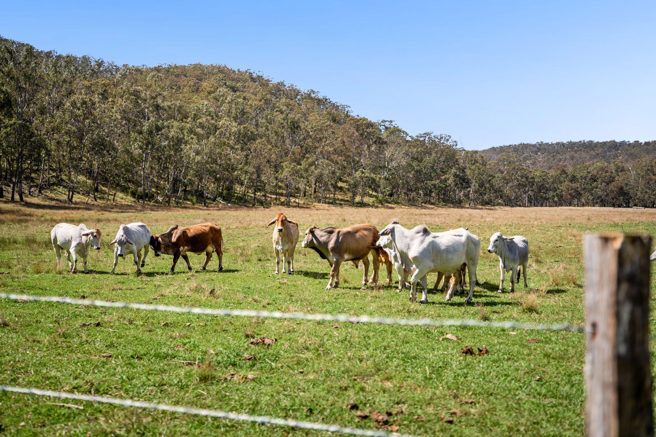 'YABRAGUNYAH' - PREMIER GRAZING COUNTRY WITH UNRIVALLED VIEWS