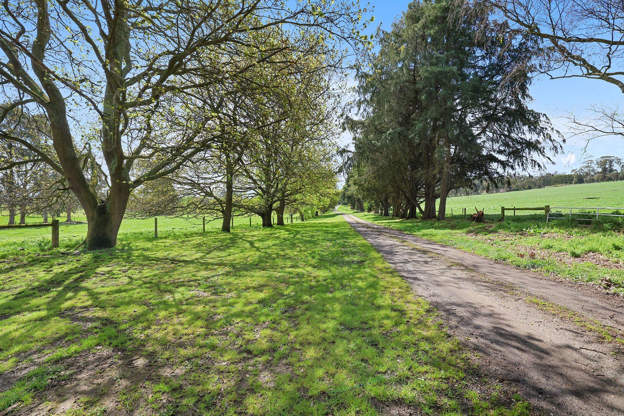 PRIZED RURAL HOLDINGS, SPECTACULAR LOCATION