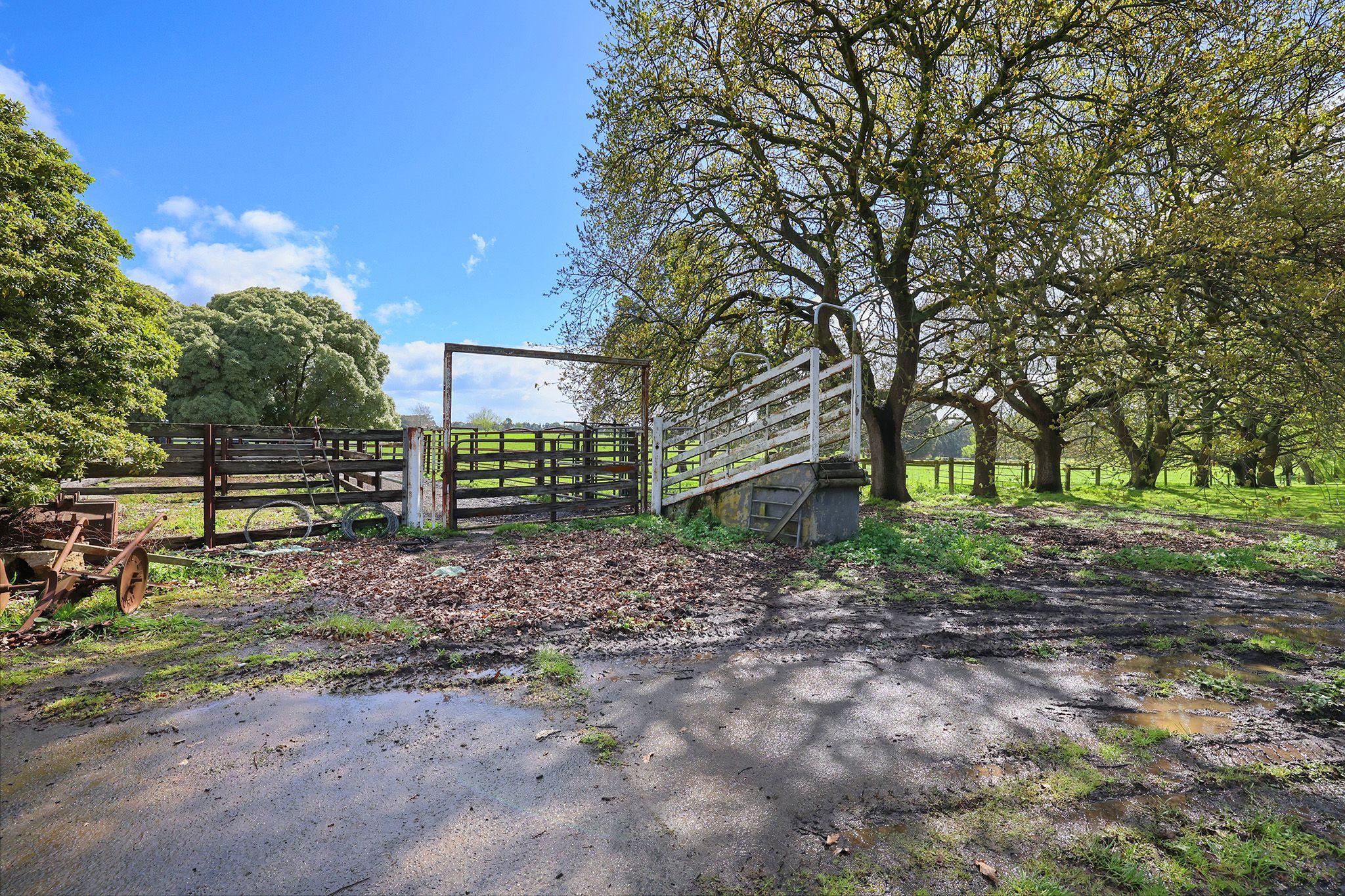 PRIZED RURAL HOLDINGS, SPECTACULAR LOCATION