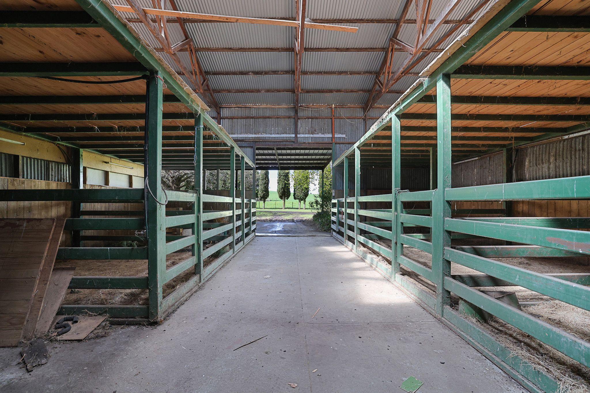 PRIZED RURAL HOLDINGS, SPECTACULAR LOCATION