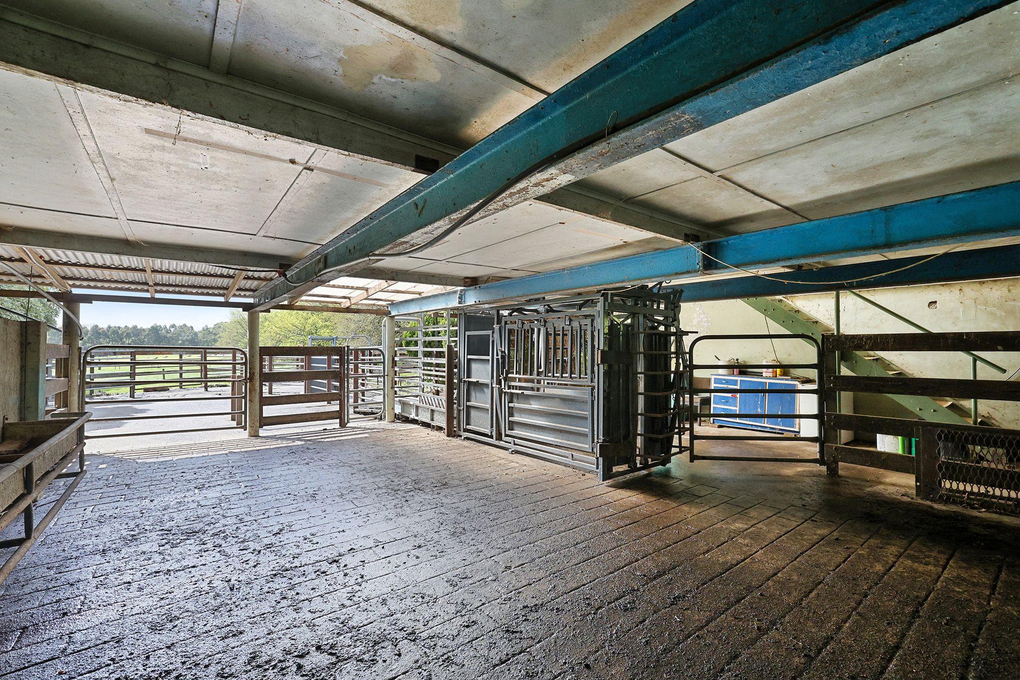 PRIZED RURAL HOLDINGS, SPECTACULAR LOCATION