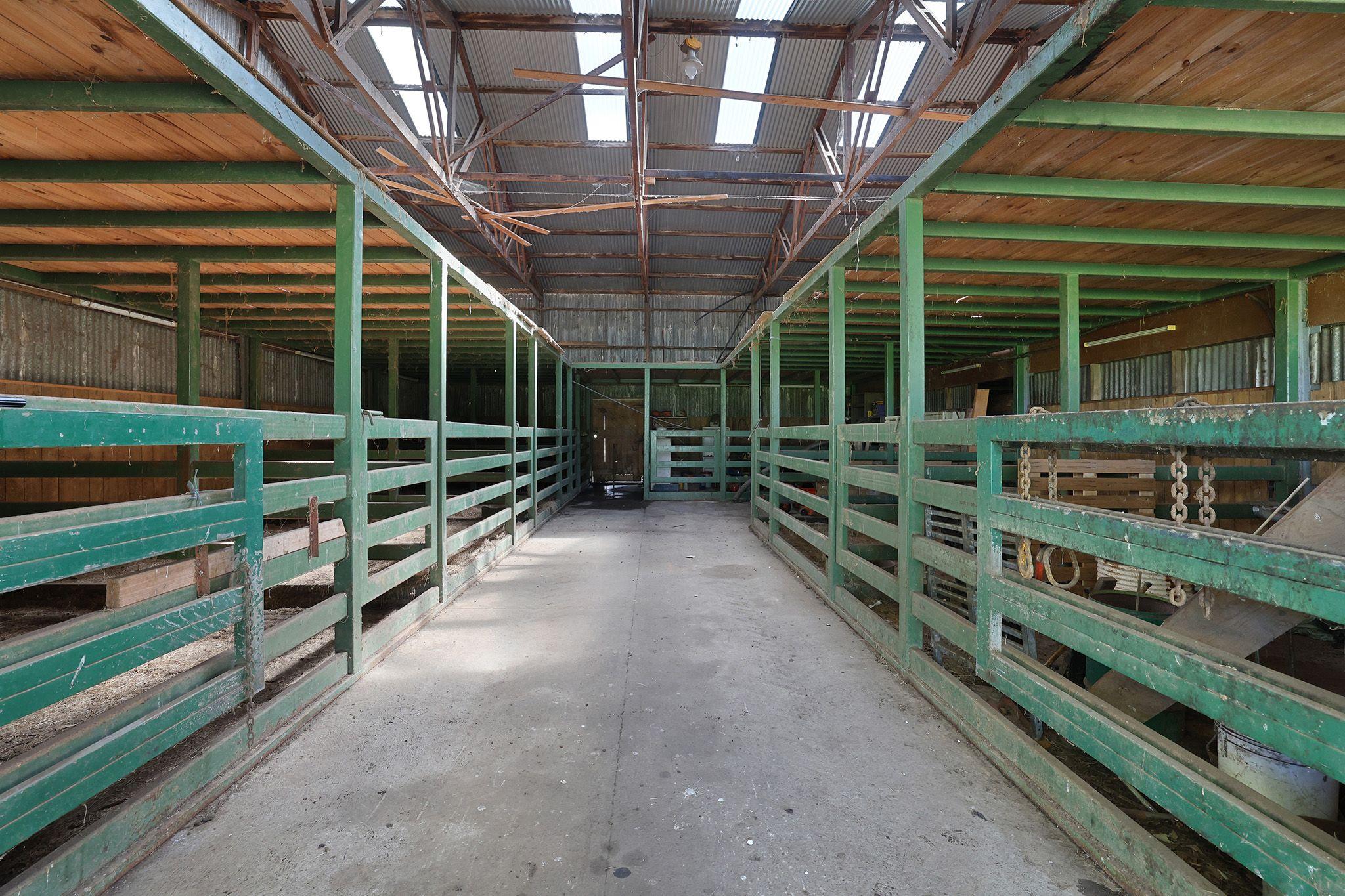PRIZED RURAL HOLDINGS, SPECTACULAR LOCATION
