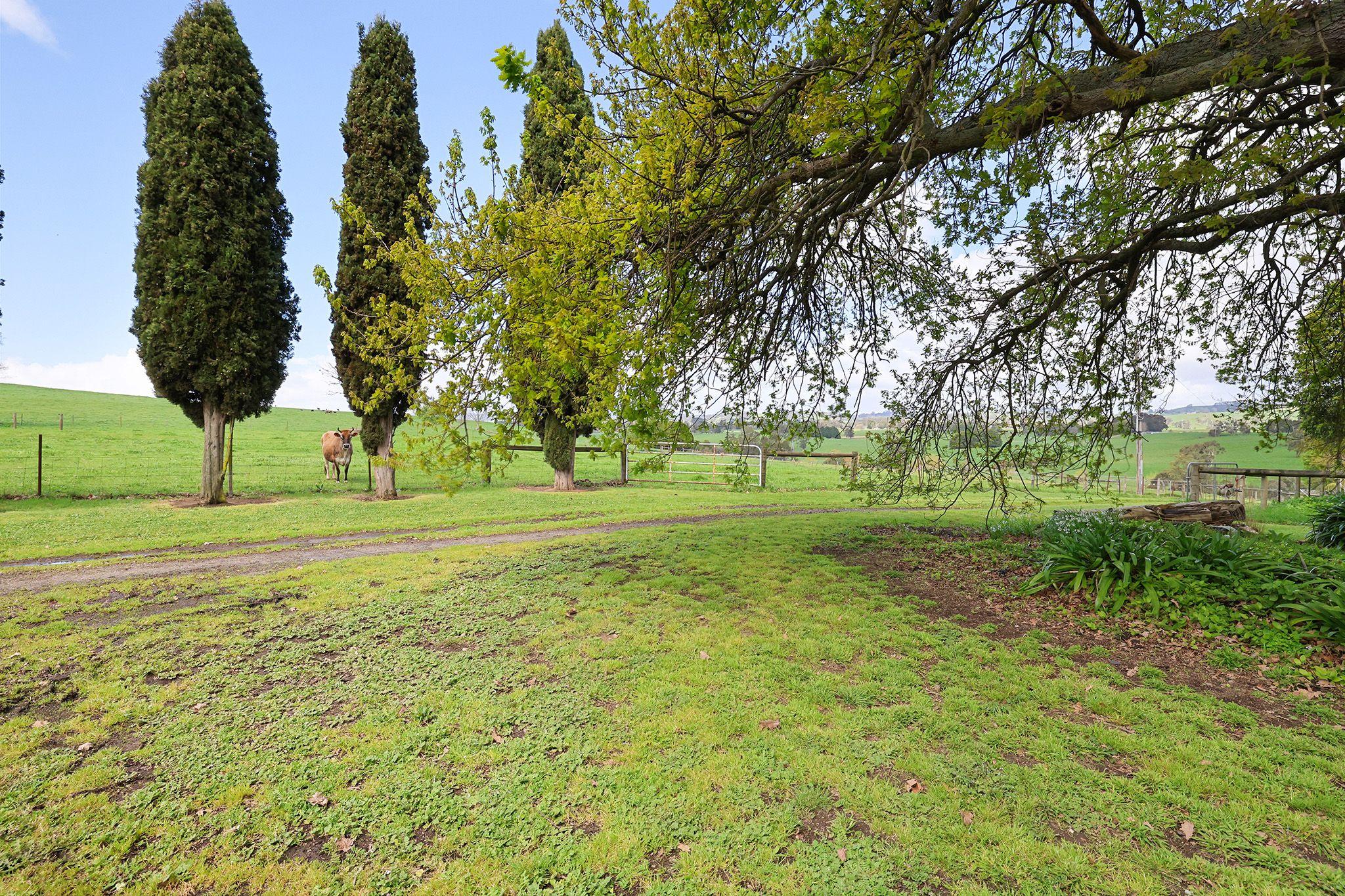 PRIZED RURAL HOLDINGS, SPECTACULAR LOCATION