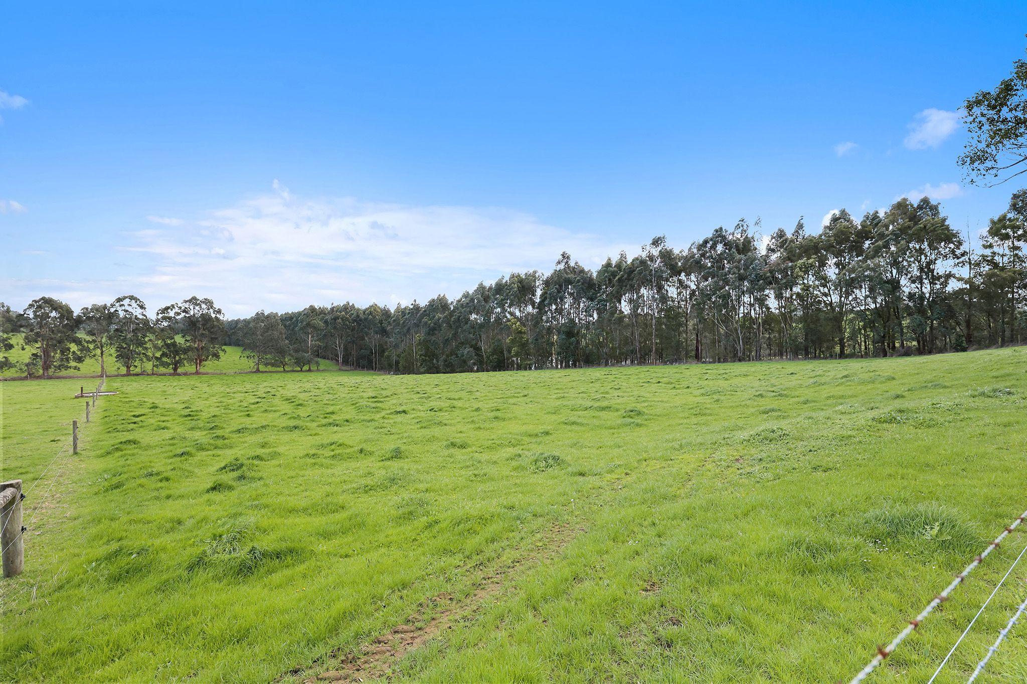 PRIZED RURAL HOLDINGS, SPECTACULAR LOCATION