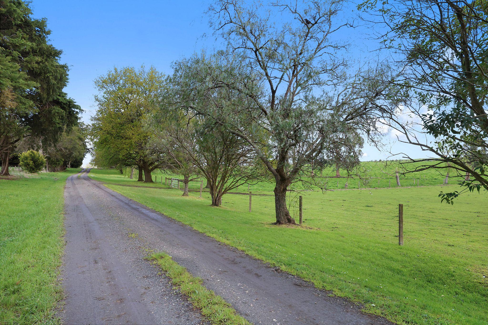 PRIZED RURAL HOLDINGS, SPECTACULAR LOCATION