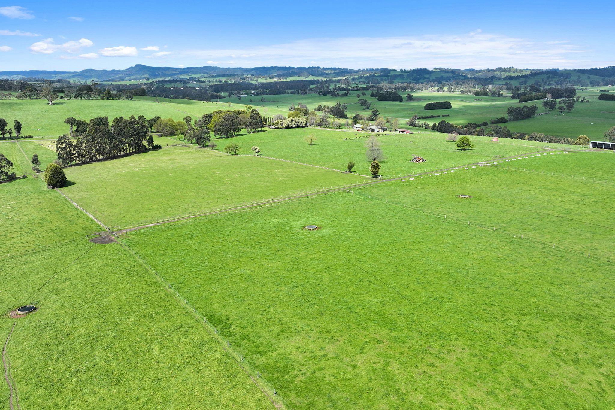 PRIZED RURAL HOLDINGS, SPECTACULAR LOCATION