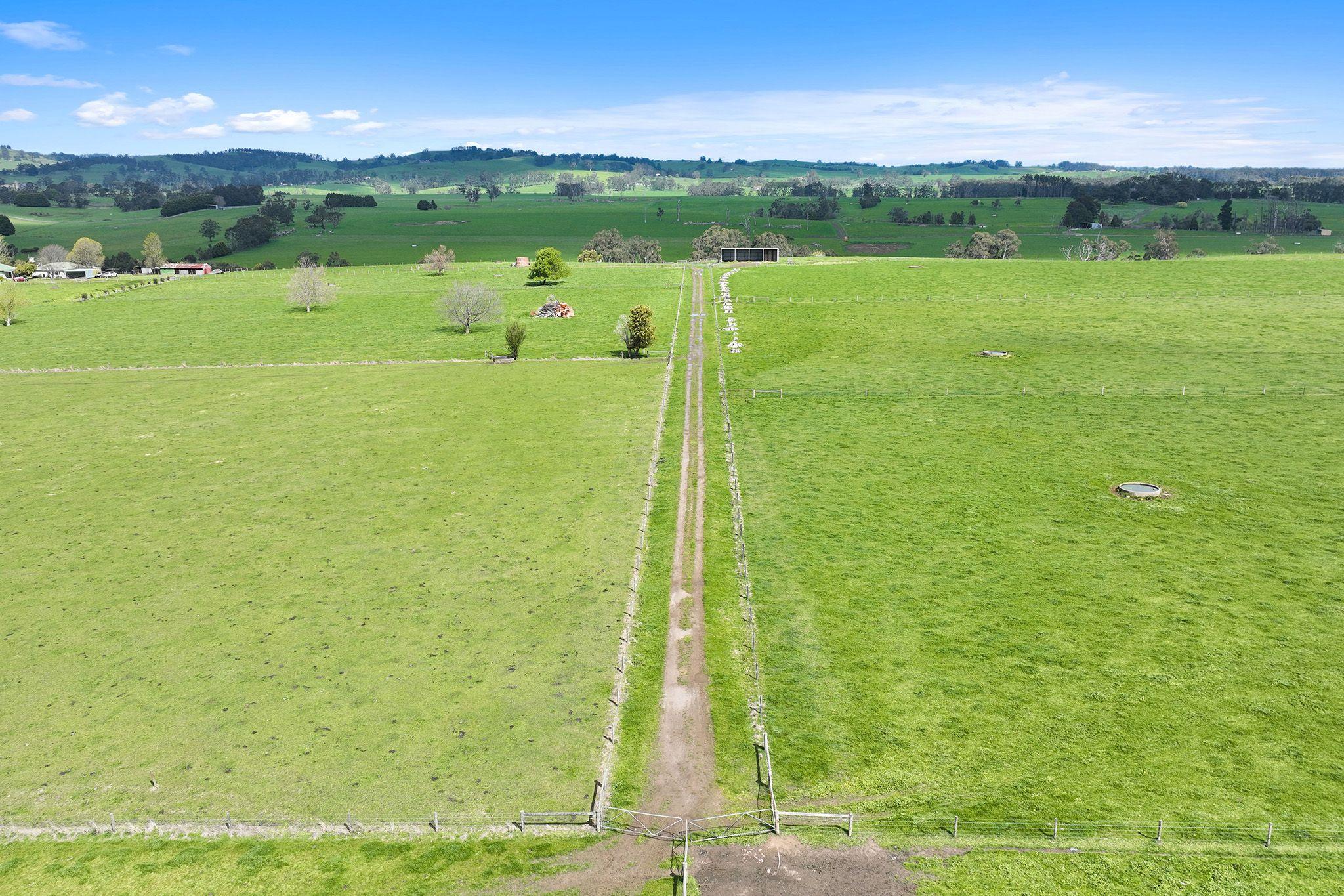PRIZED RURAL HOLDINGS, SPECTACULAR LOCATION