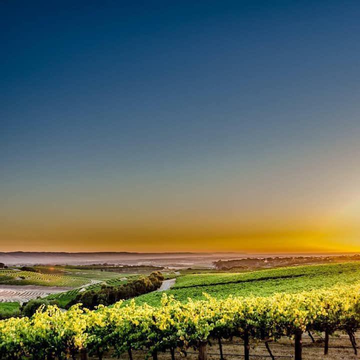 29a Oleander Road, MASLIN BEACH, SA 5170 - House for Rent - harcourts.net