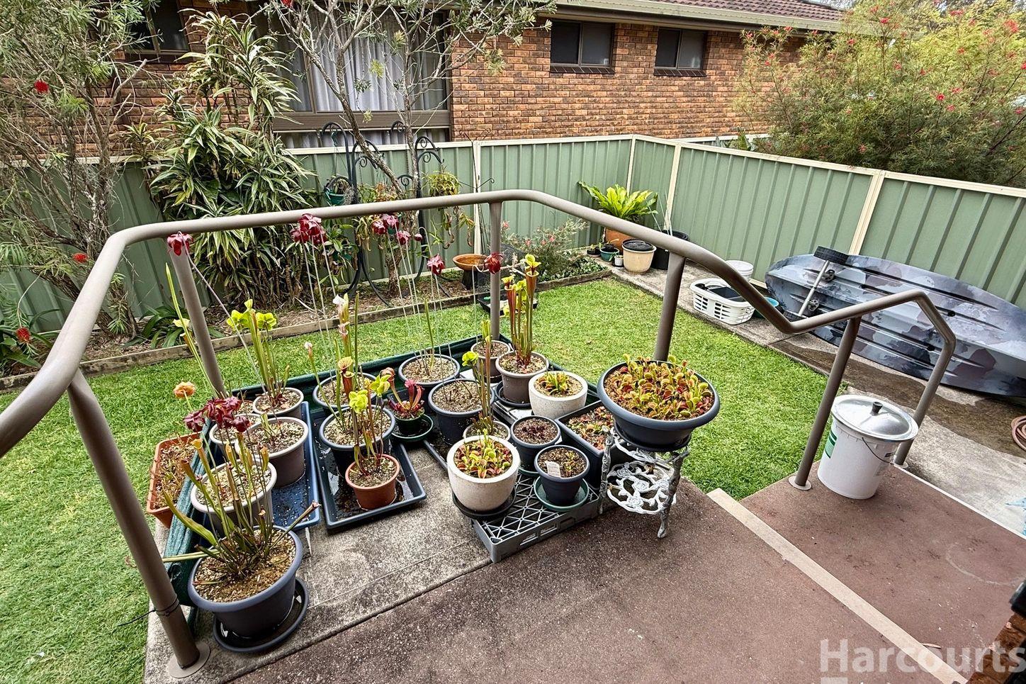 1/6 Les Gilligan Place, South West Rocks, NSW 2431 - Villa for Rent - harcourts.net