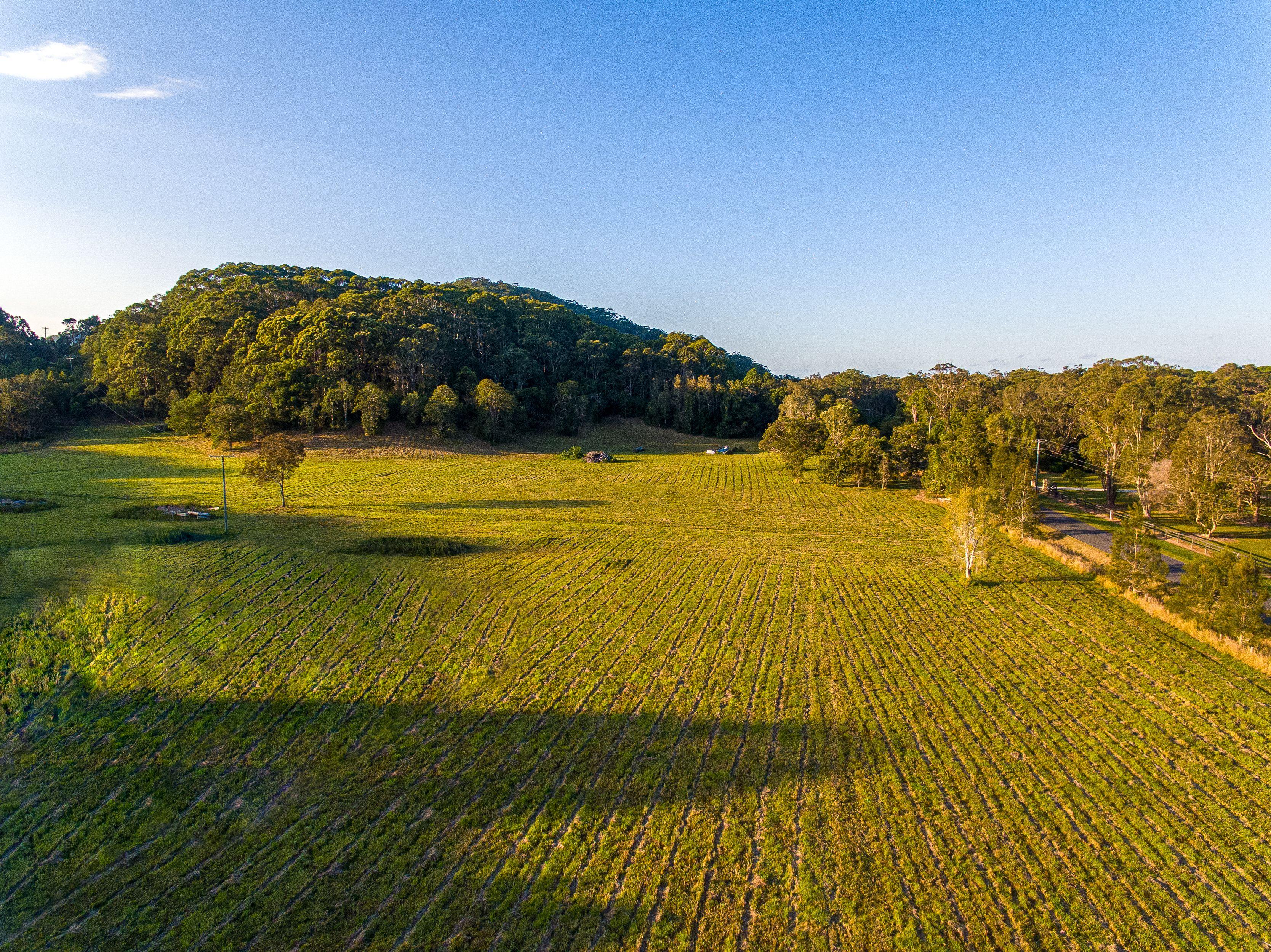Prime Rural Development With Ocean Views - The Best of Both Worlds