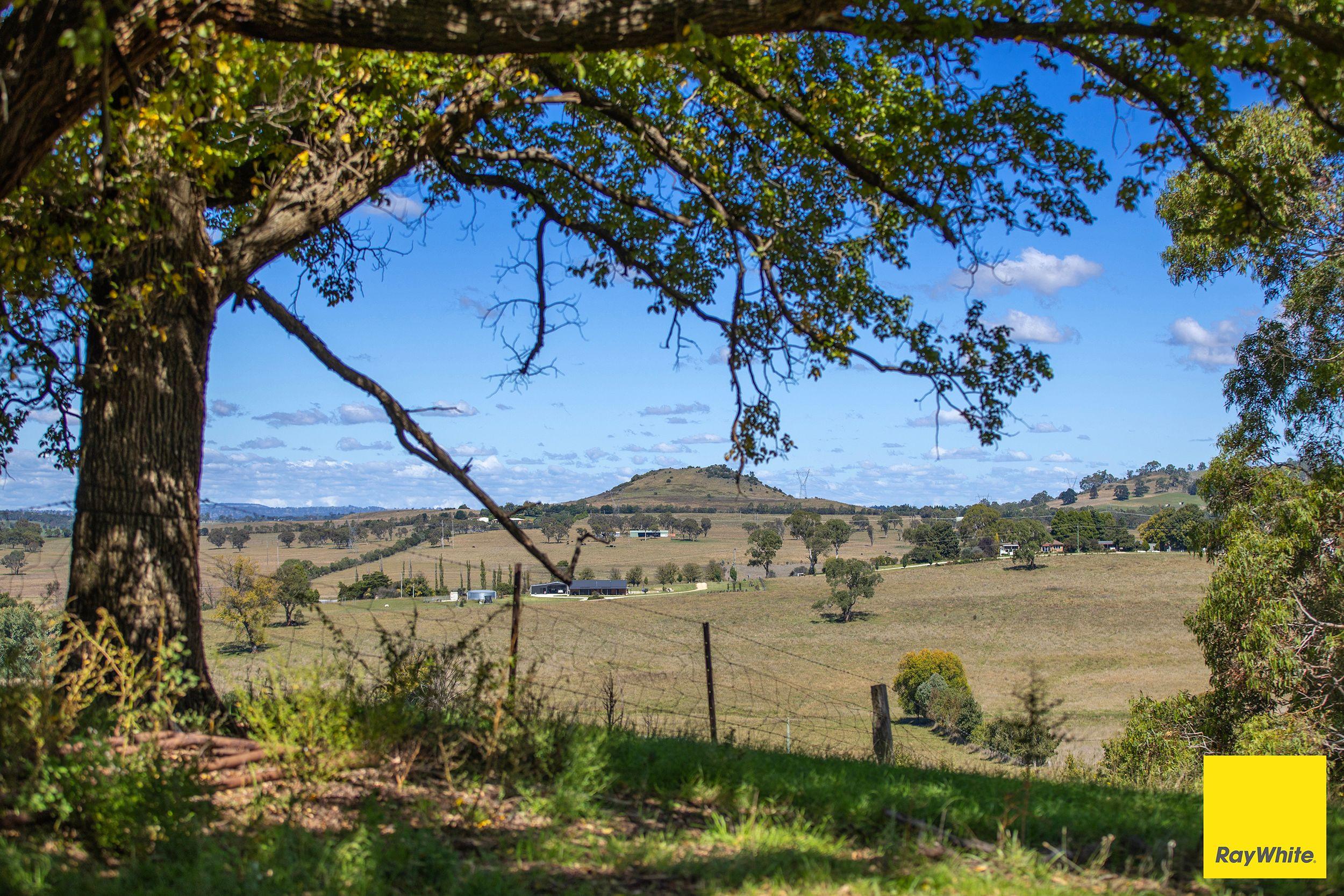 Town Convenience Meets Country Living on 20 Acres