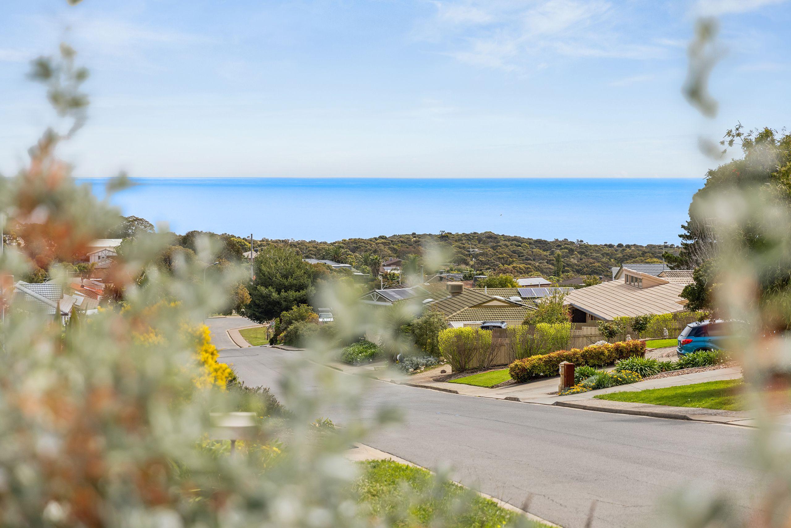 Your Daily Dose of Vitamin Sea