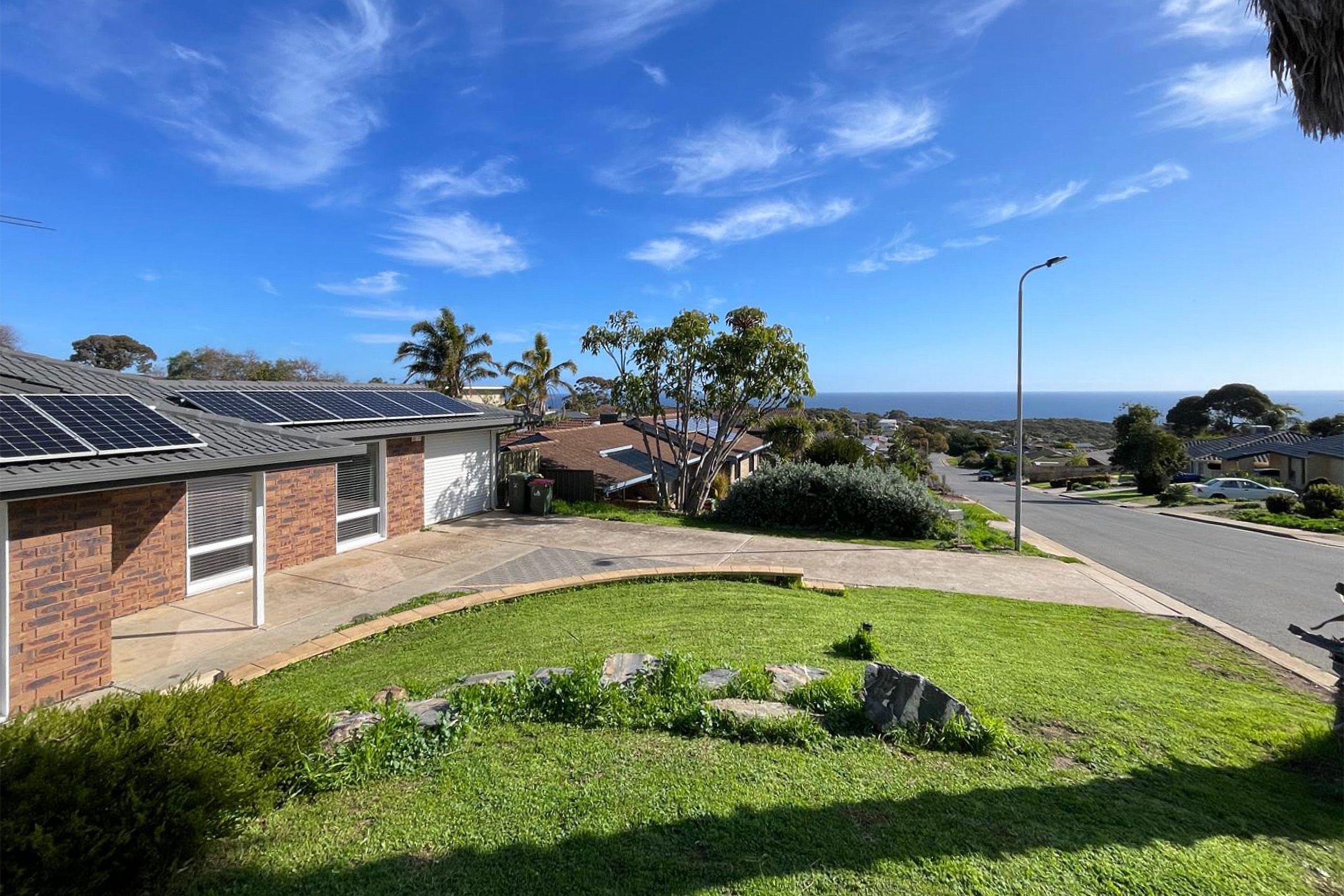 Your Daily Dose of Vitamin Sea