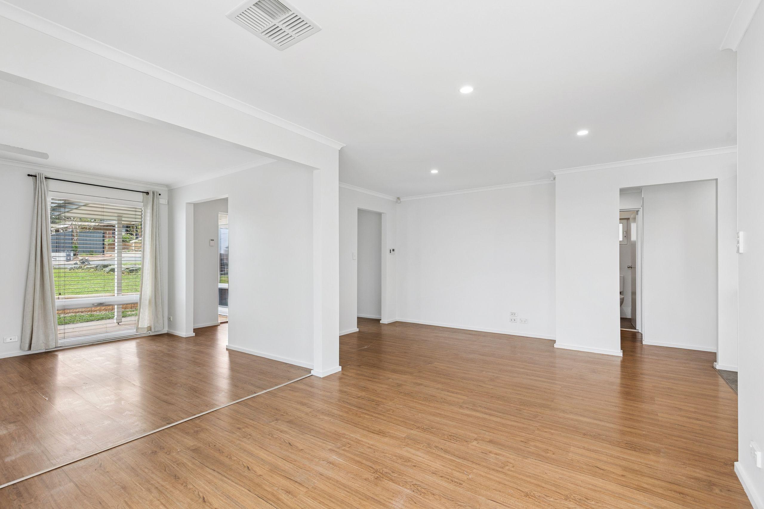 Your Daily Dose of Vitamin Sea