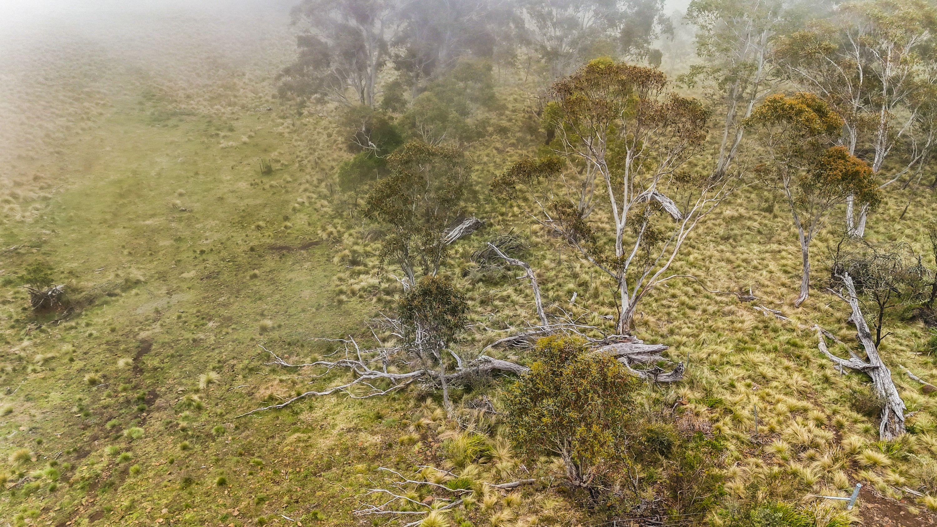 Charming Country Retreat for Lease at 119 Green Lake Road, Bibbenluke