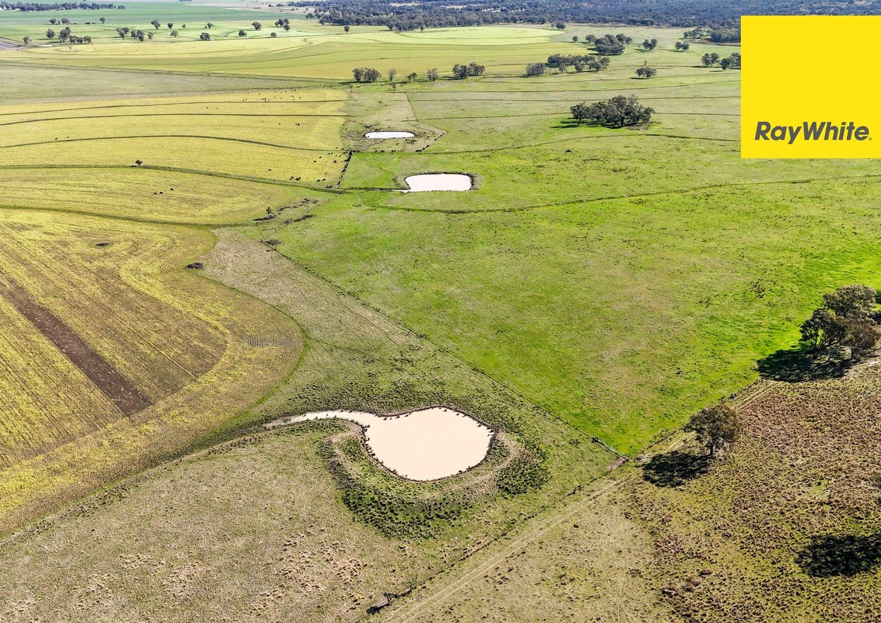 Prop-GPT: Mixed Farming: NSW Inverell, NSW 2360 Rural