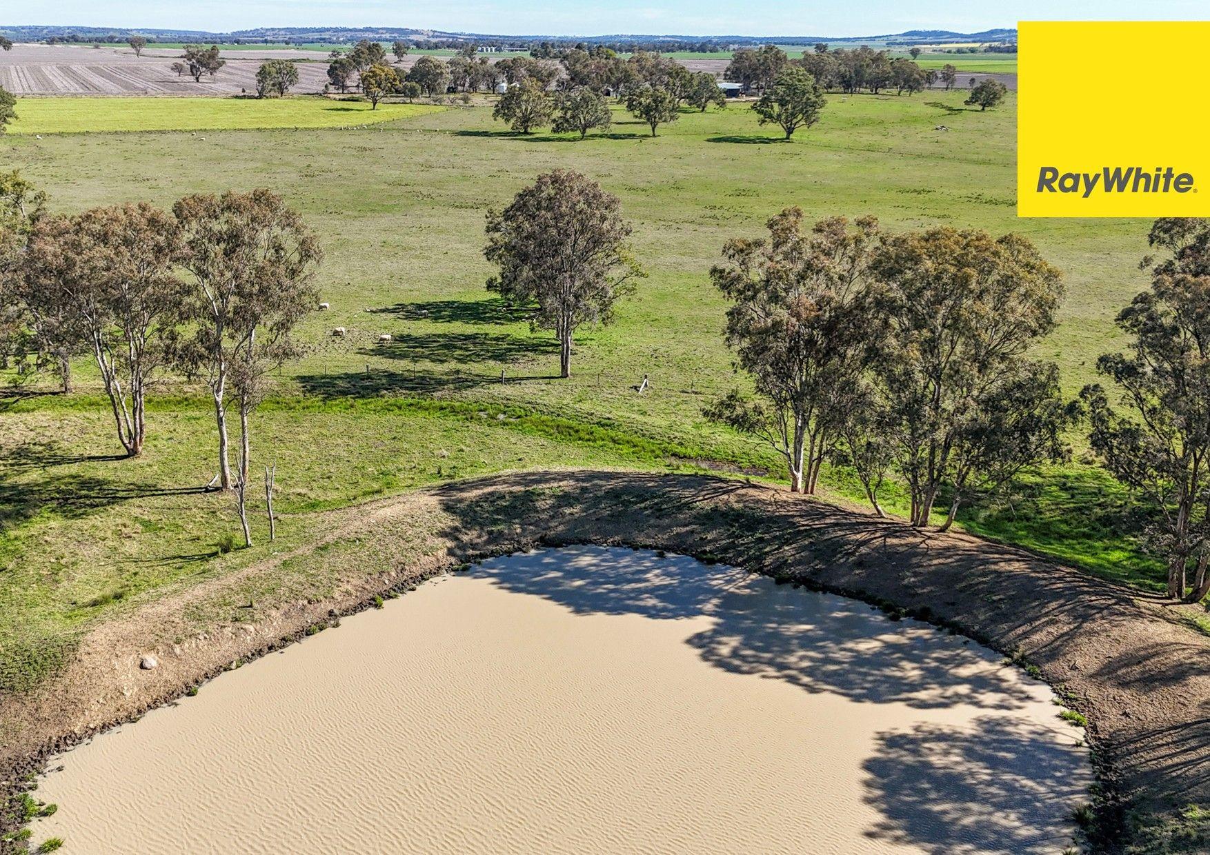 'Highly regarded Oakwood and Bannockburn Plains Area'
