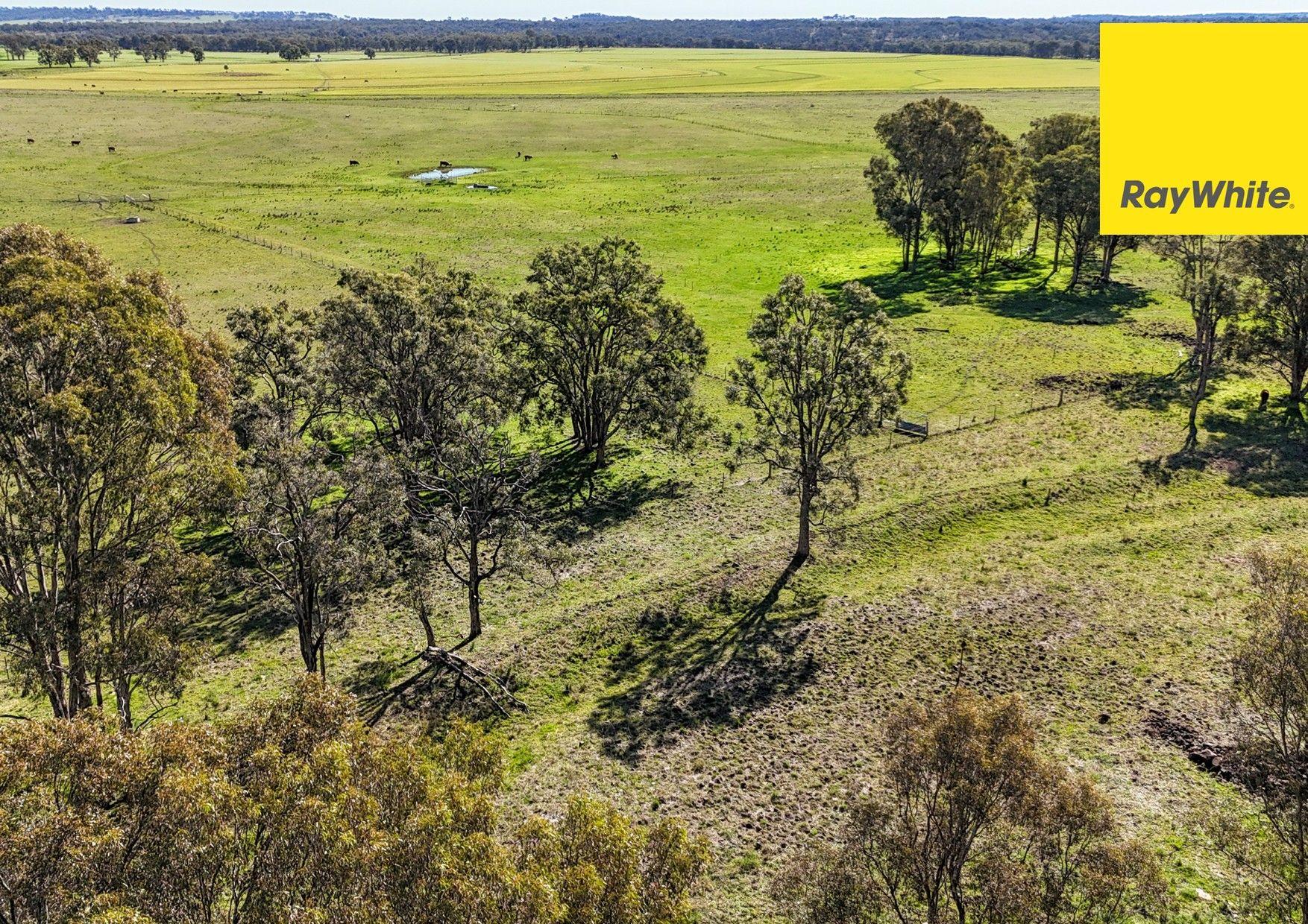 'Highly regarded Oakwood and Bannockburn Plains Area'