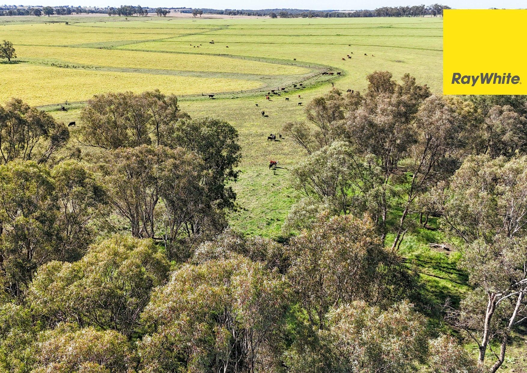 'Highly regarded Oakwood and Bannockburn Plains Area'