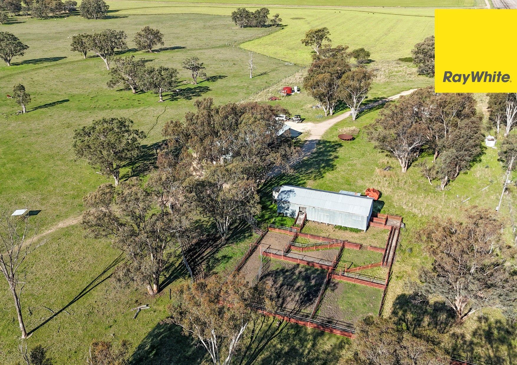 'Highly regarded Oakwood and Bannockburn Plains Area'