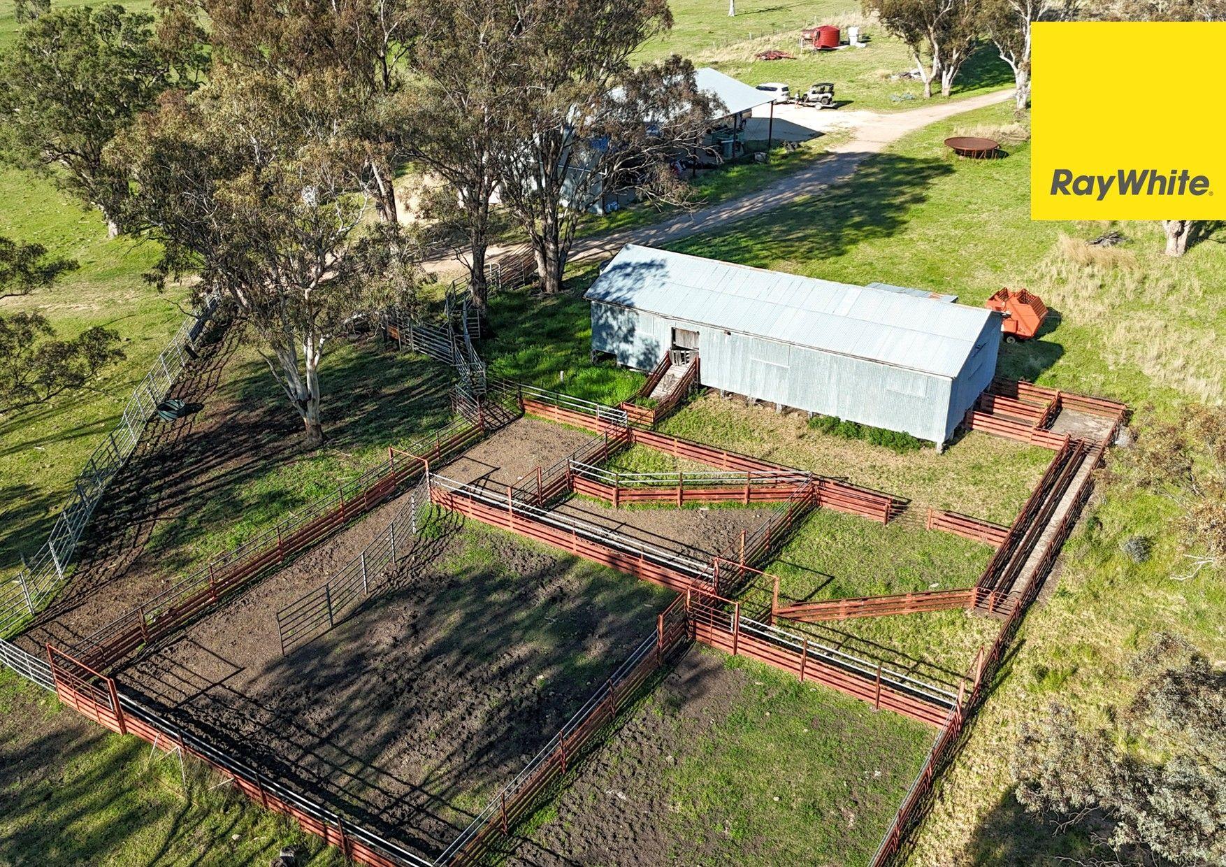 'Highly regarded Oakwood and Bannockburn Plains Area'