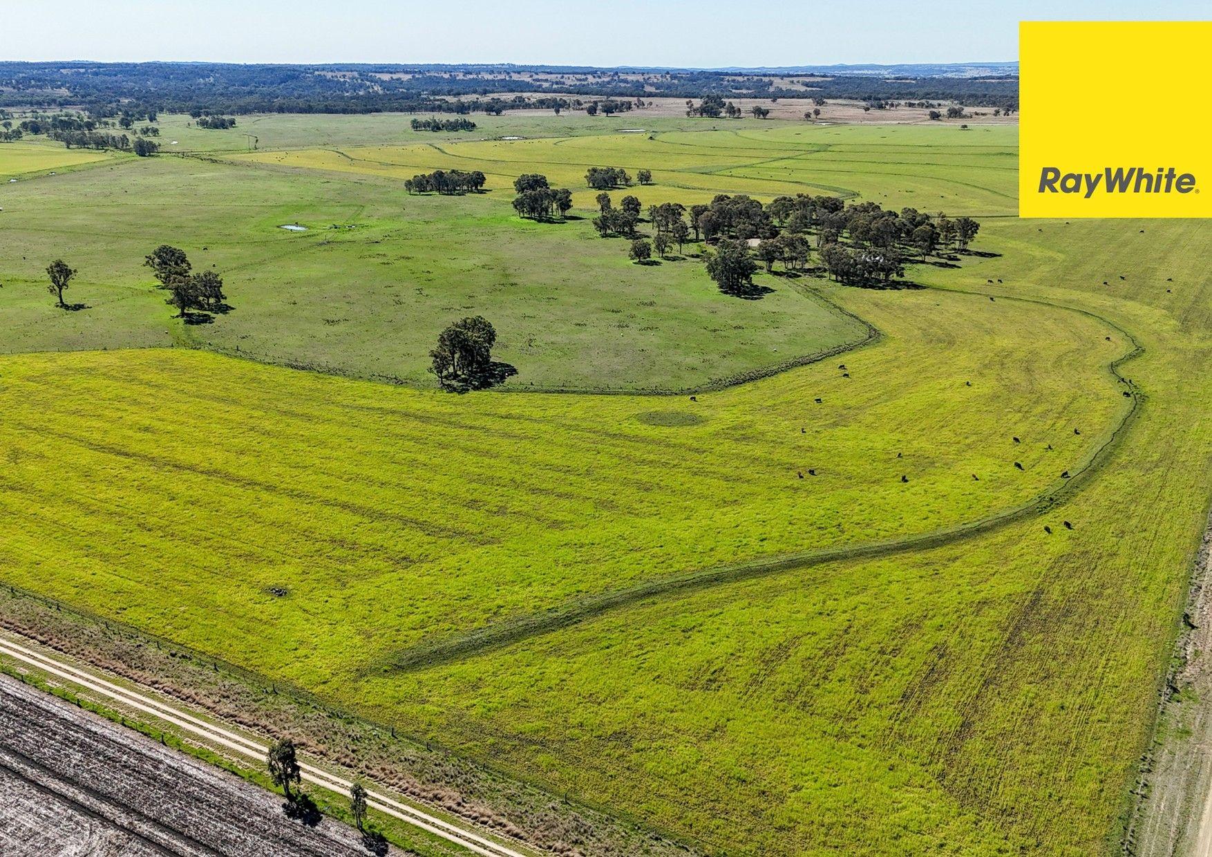 'Highly regarded Oakwood and Bannockburn Plains Area'