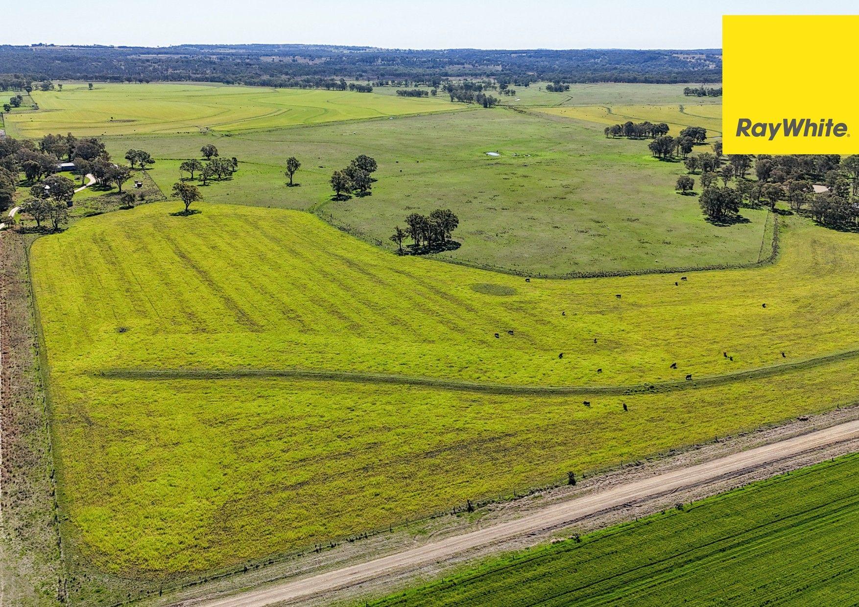 'Highly regarded Oakwood and Bannockburn Plains Area'