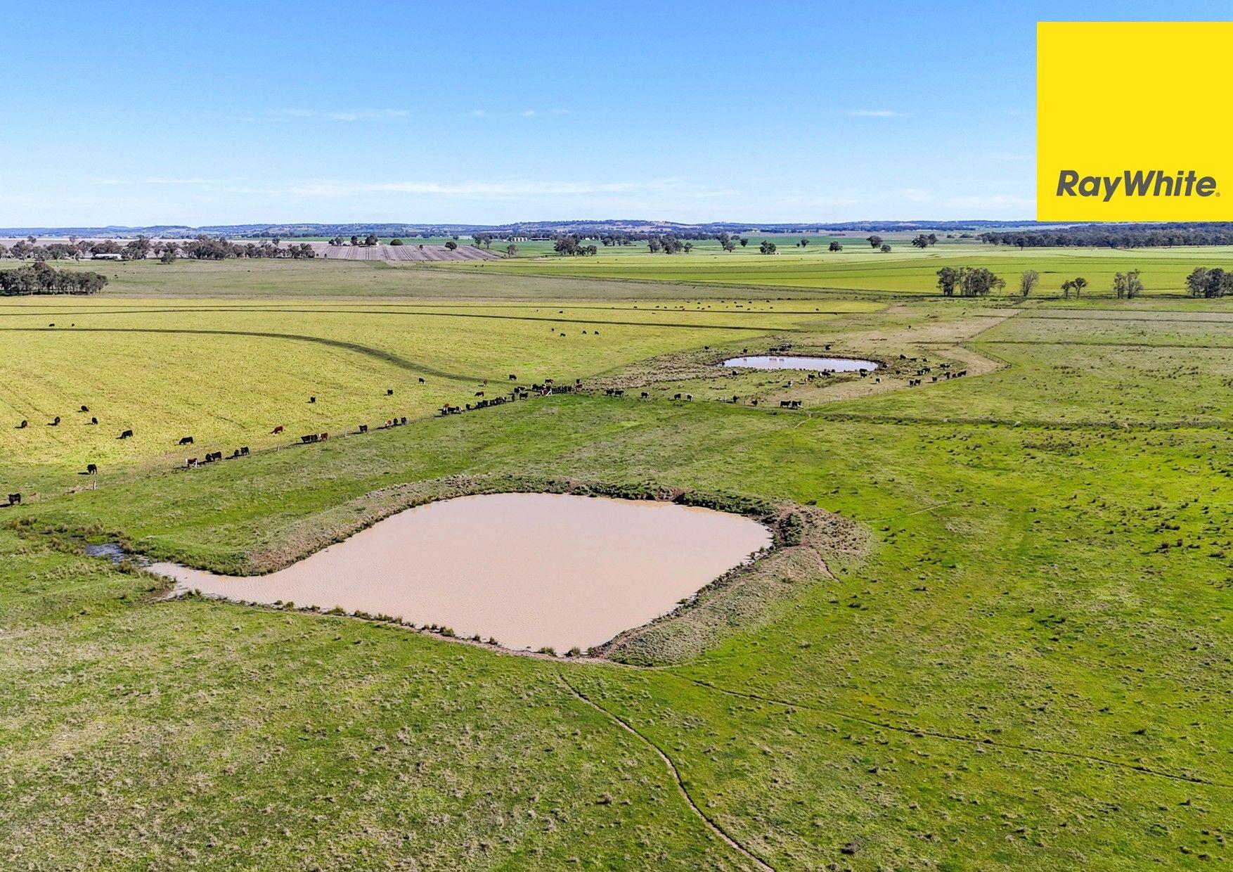 'Highly regarded Oakwood and Bannockburn Plains Area'