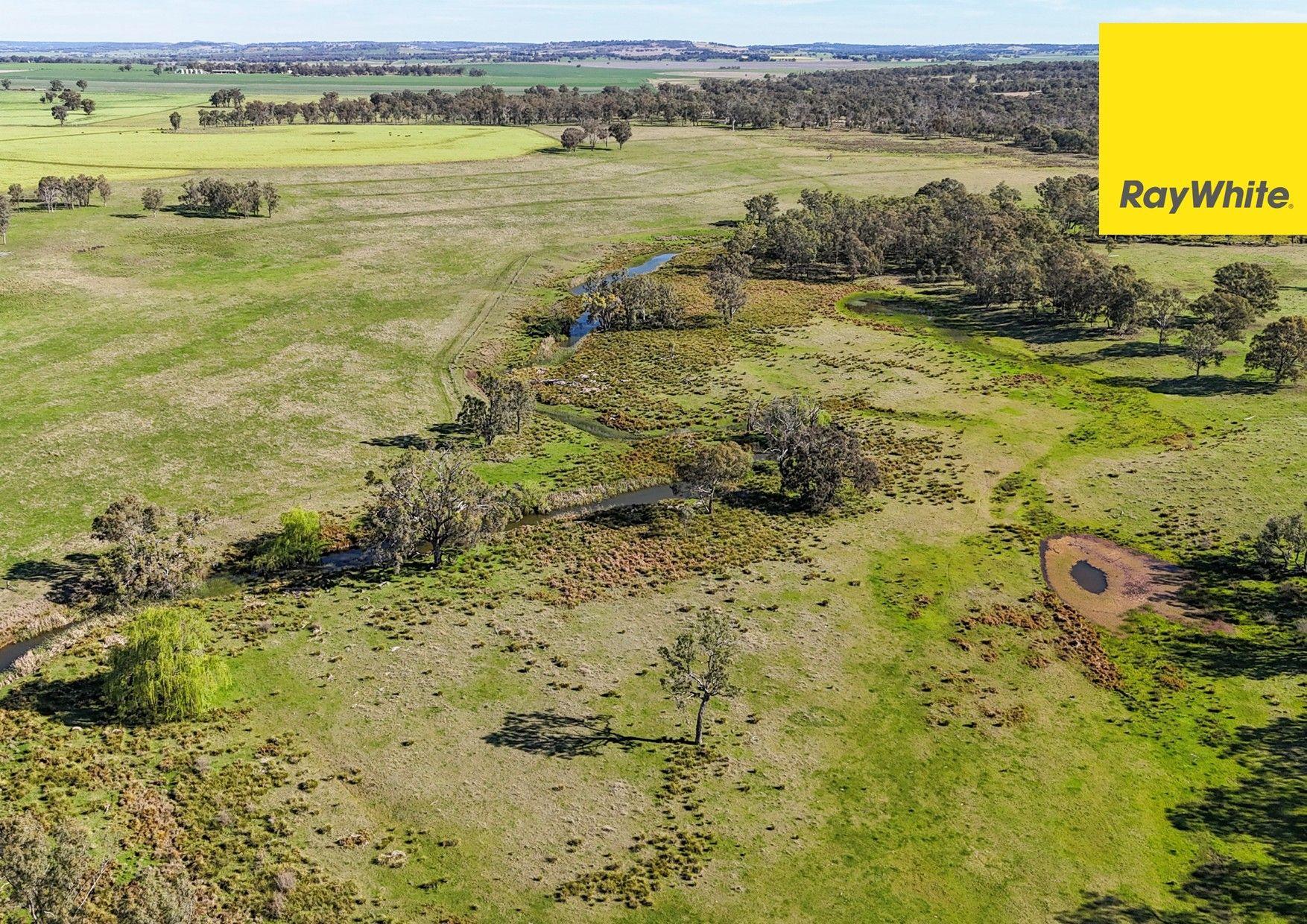'Highly regarded Oakwood and Bannockburn Plains Area'