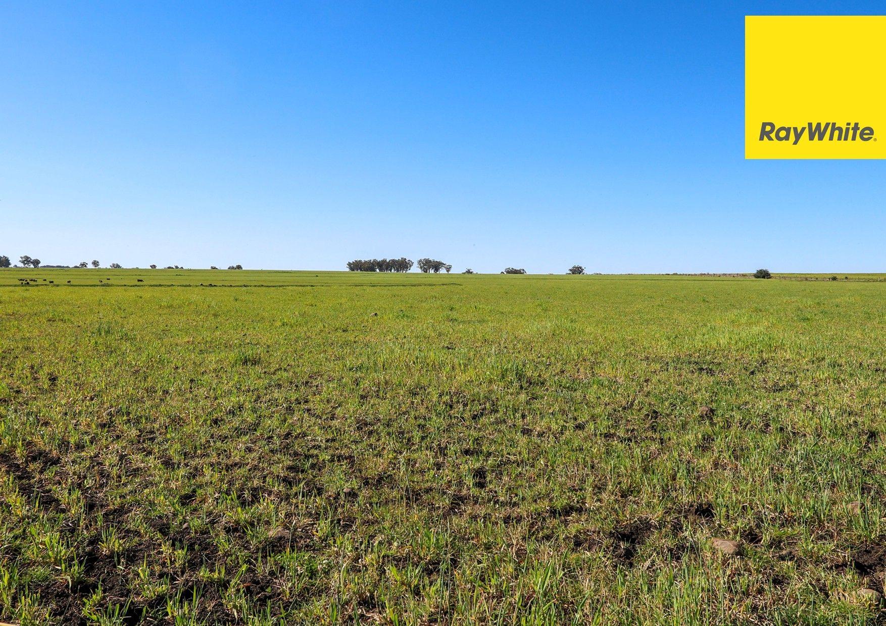 'Highly regarded Oakwood and Bannockburn Plains Area'