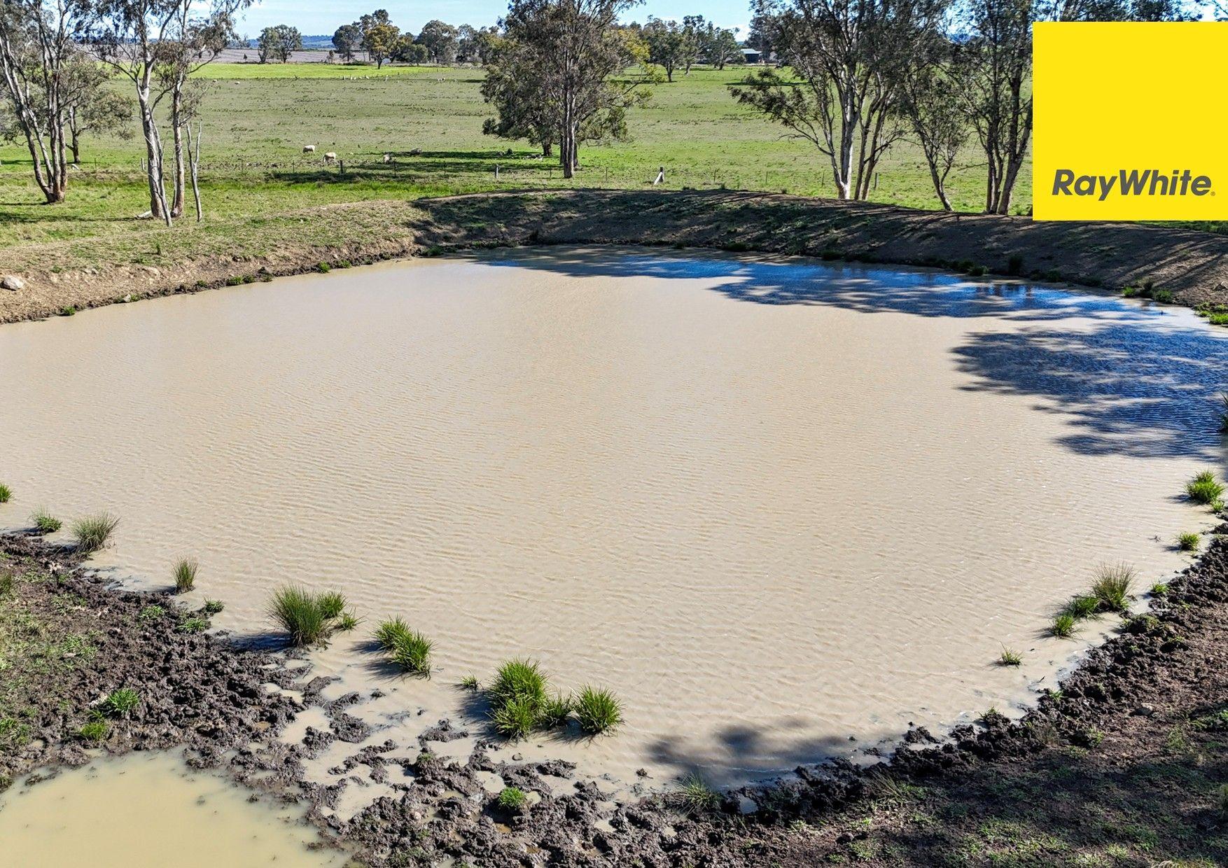'Highly regarded Oakwood and Bannockburn Plains Area'
