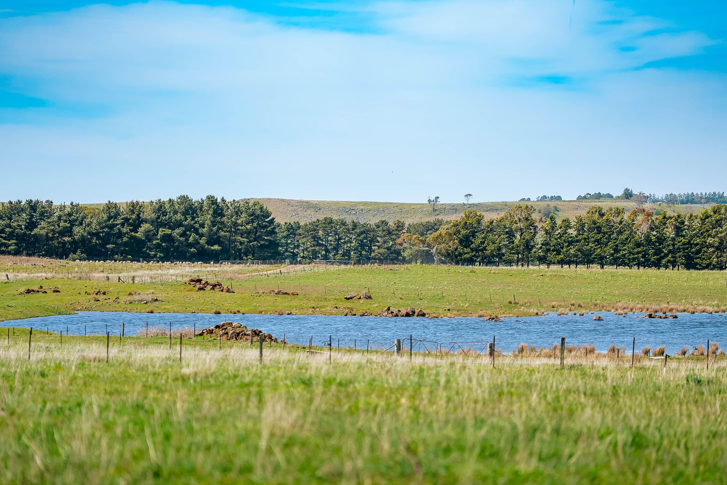 A Rare Rural Opportunity