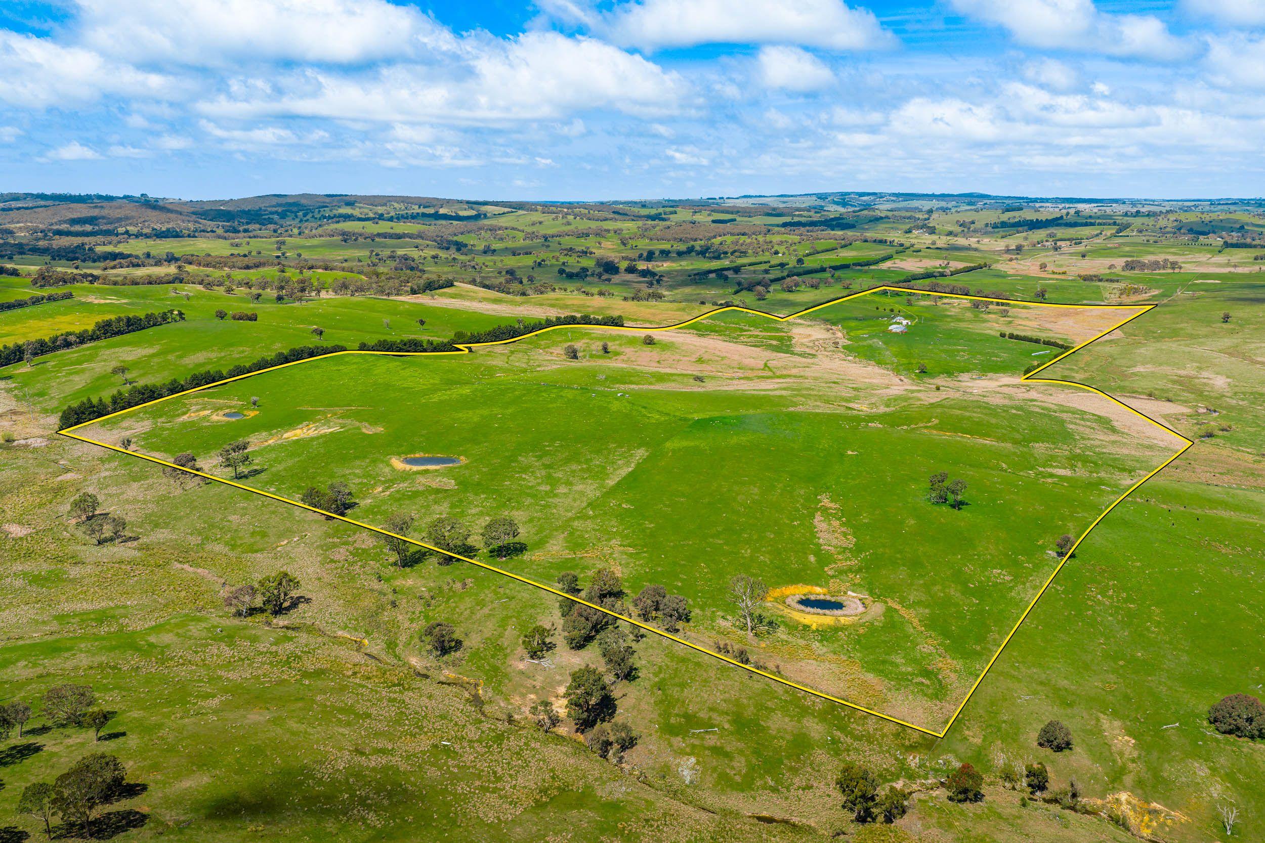 Prop-GPT: Mixed Farming: NSW Binda, NSW 2583 Rural
