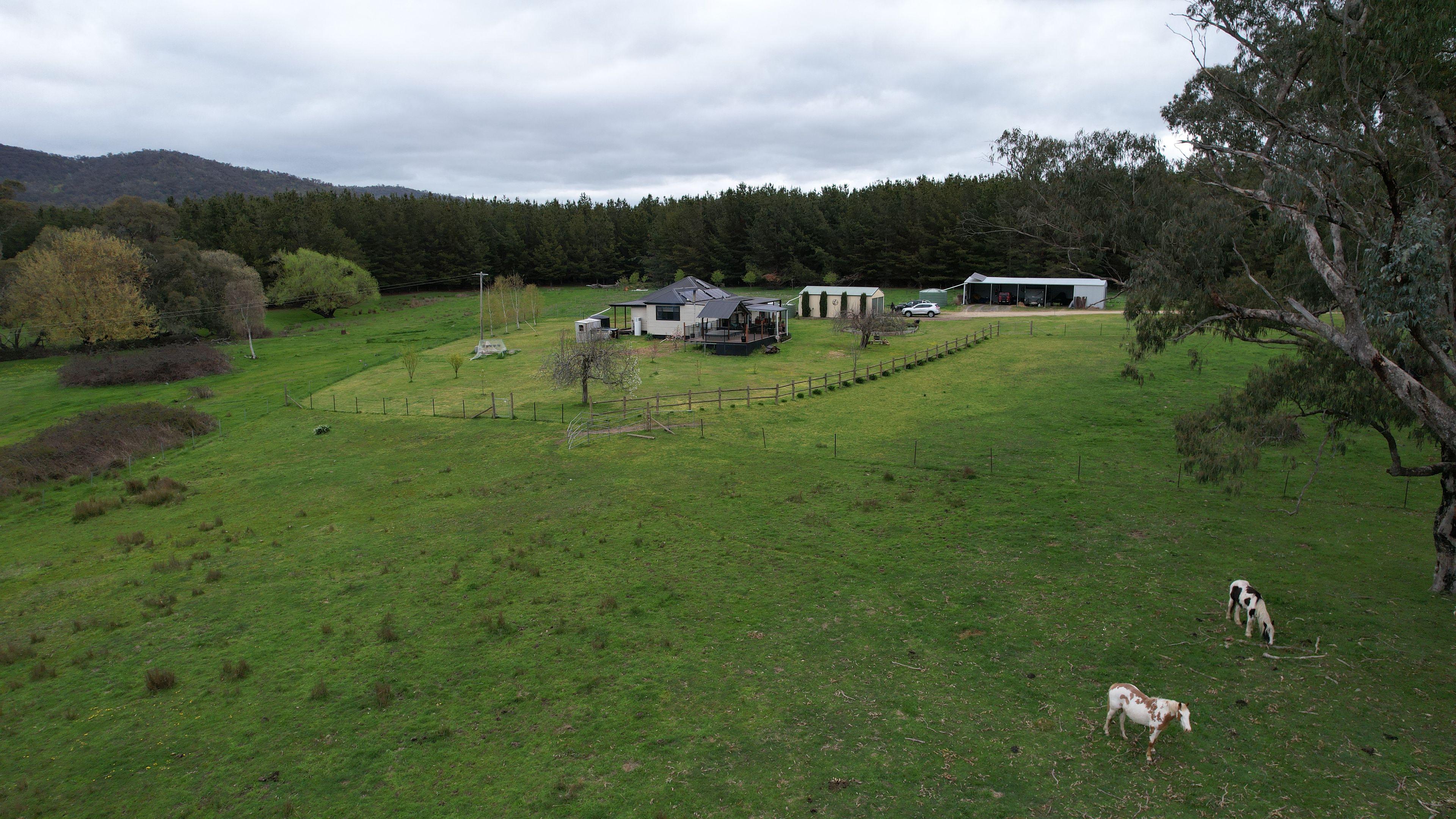 Tranquil Rural Lifestyle Retreat - 2.92ha with Modern Comforts