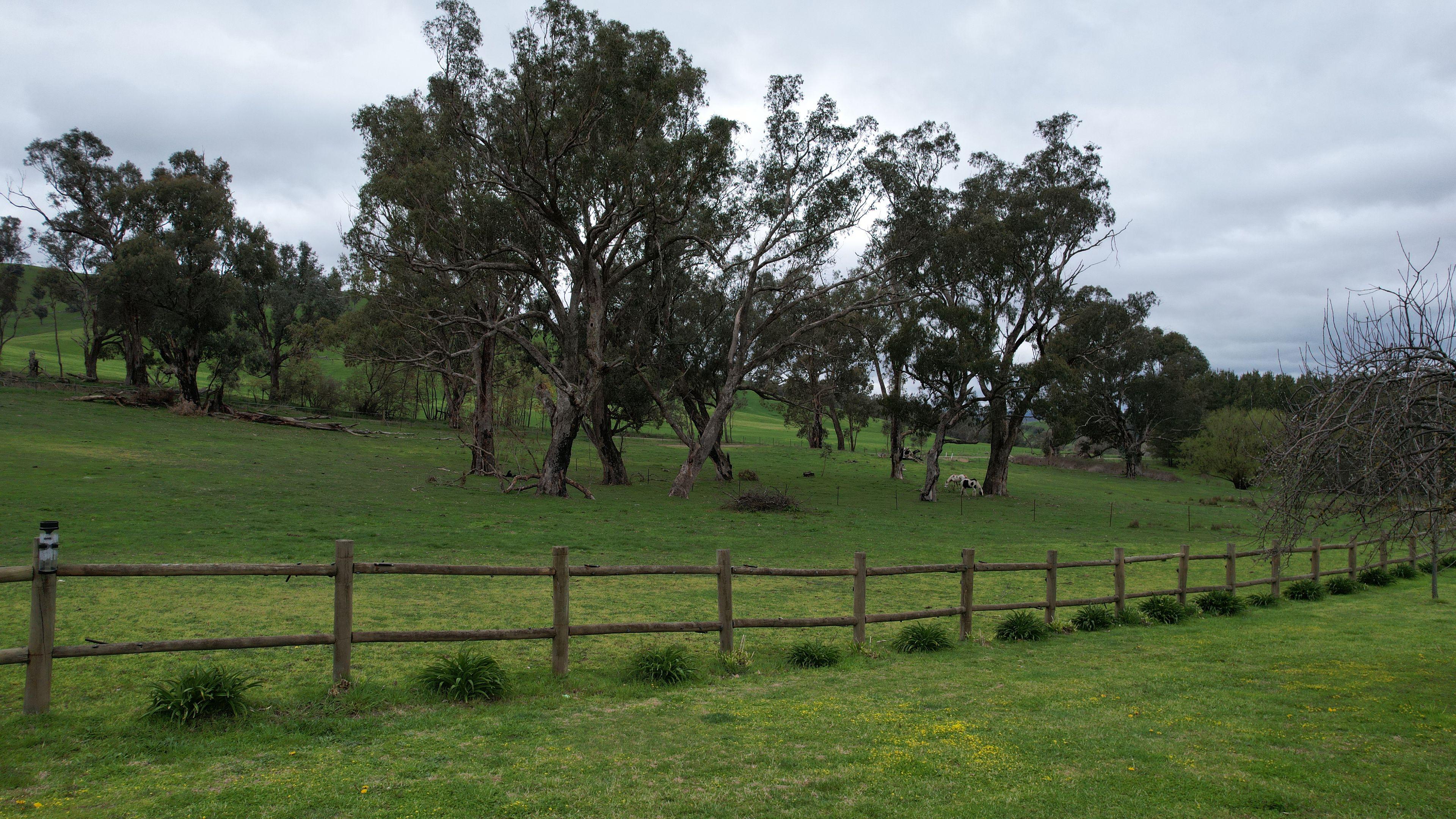 Tranquil Rural Lifestyle Retreat - 2.92ha with Modern Comforts