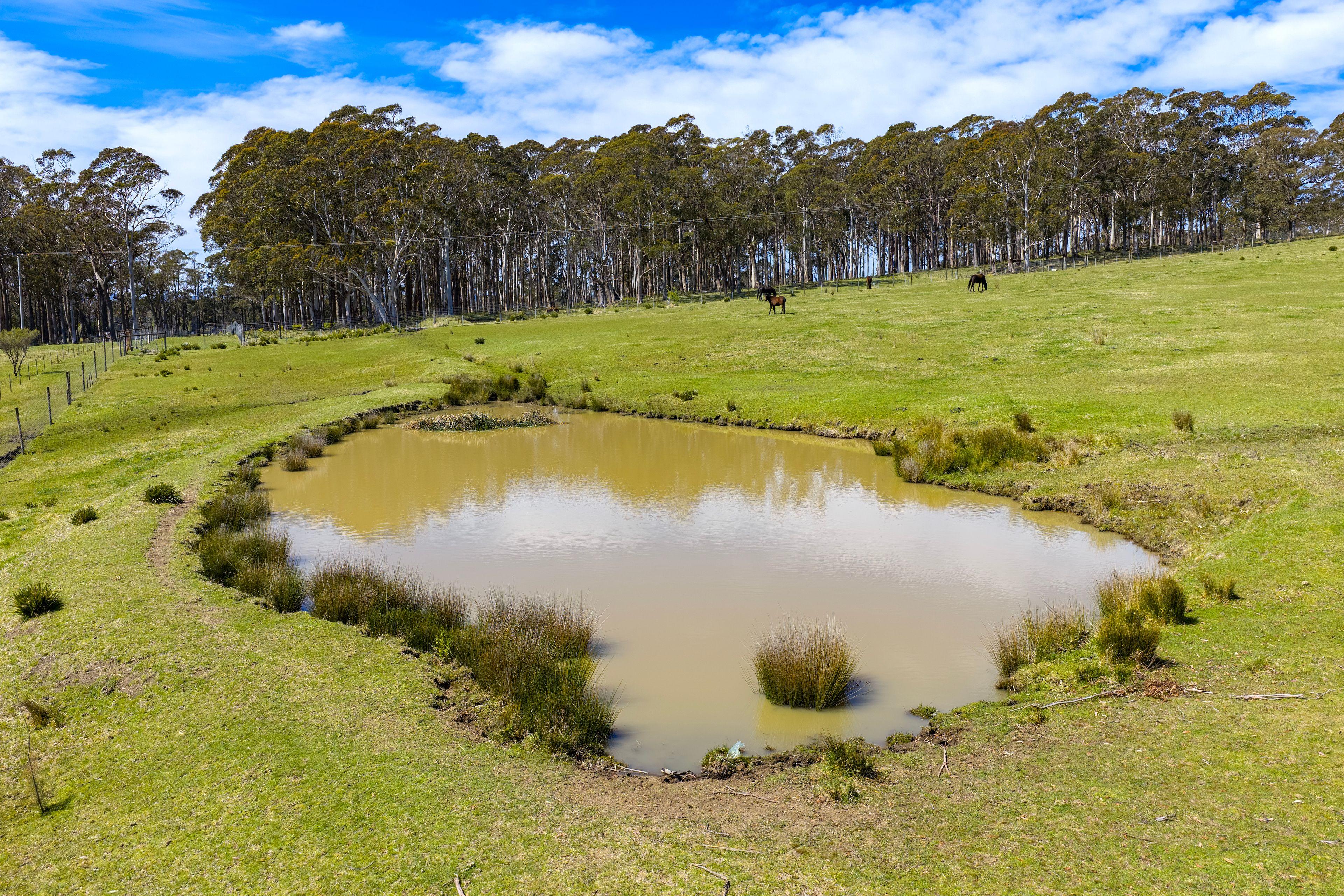 'Killara'  - Prime Rural Holding Opportunity