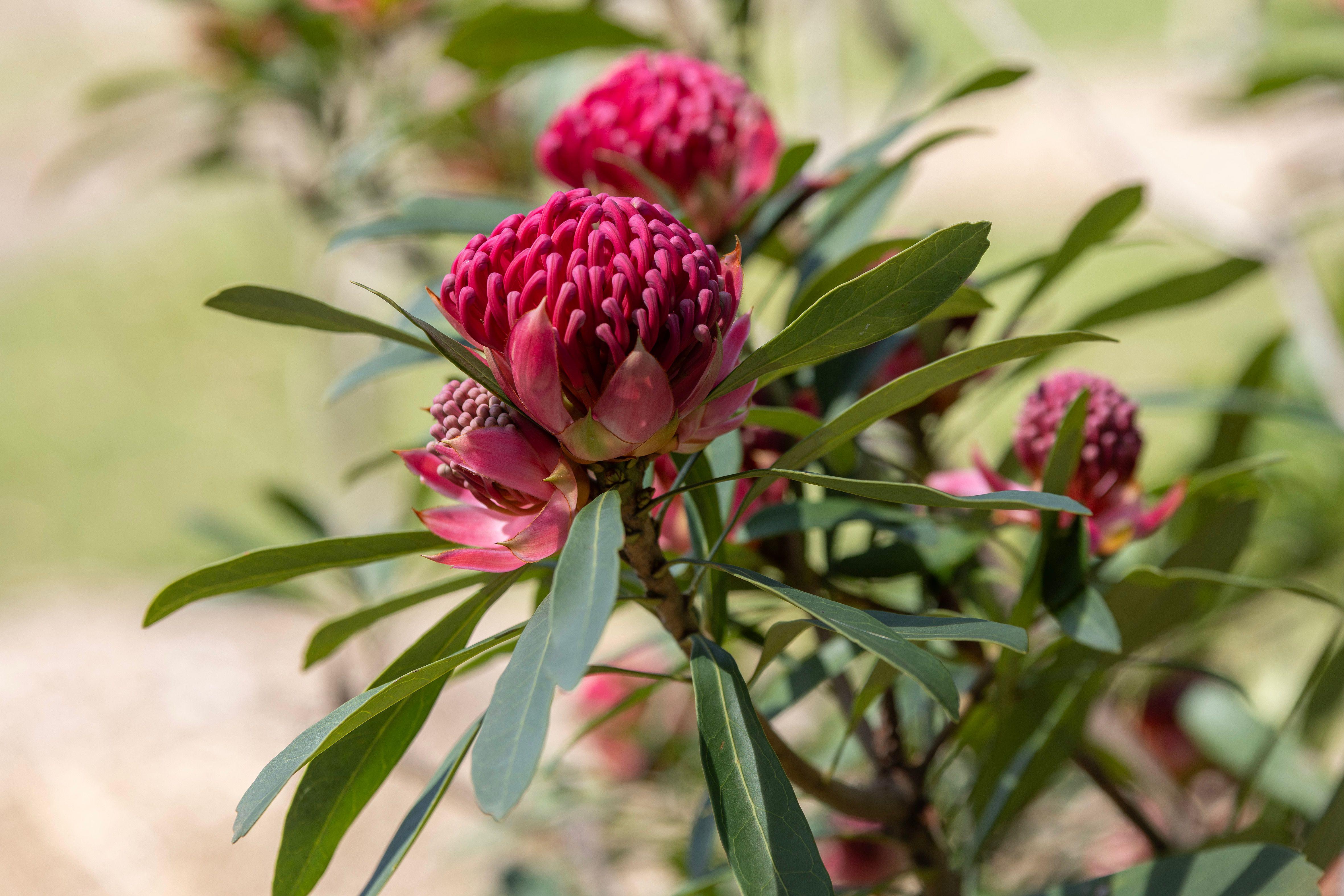 'Killara'  - Prime Rural Holding Opportunity