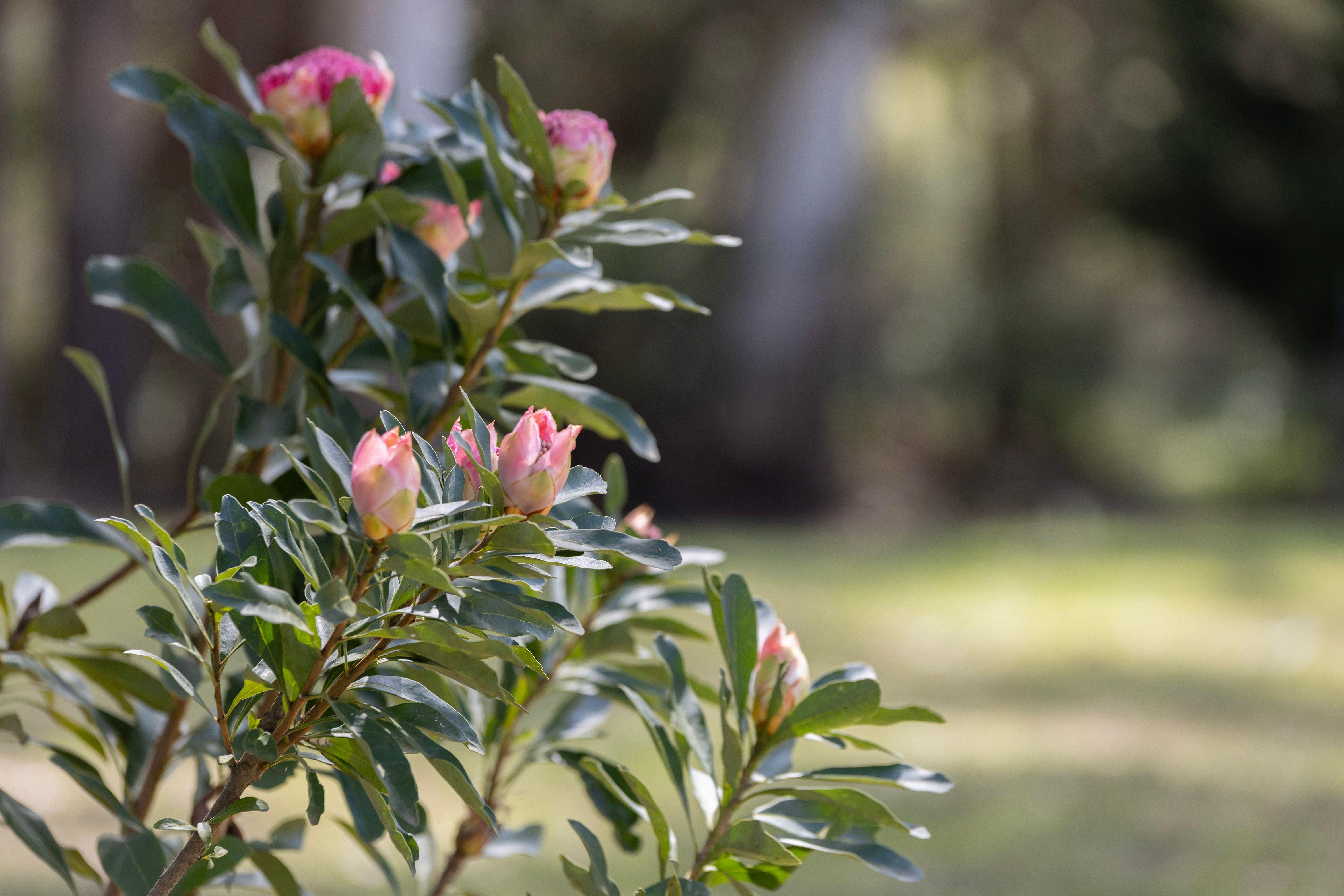 'Killara'  - Prime Rural Holding Opportunity