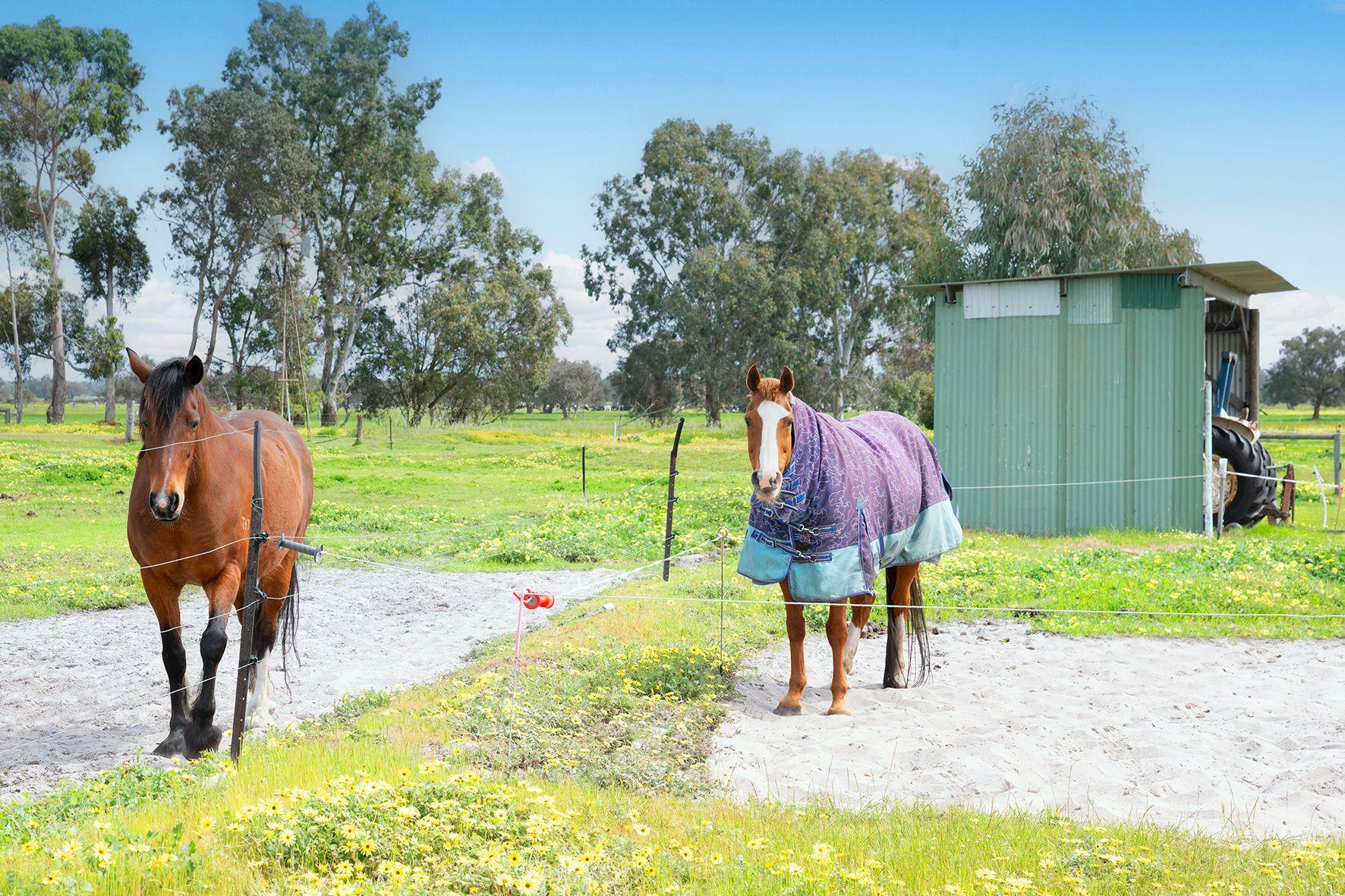 A Rural Haven Just Minutes from Busselton & Capel