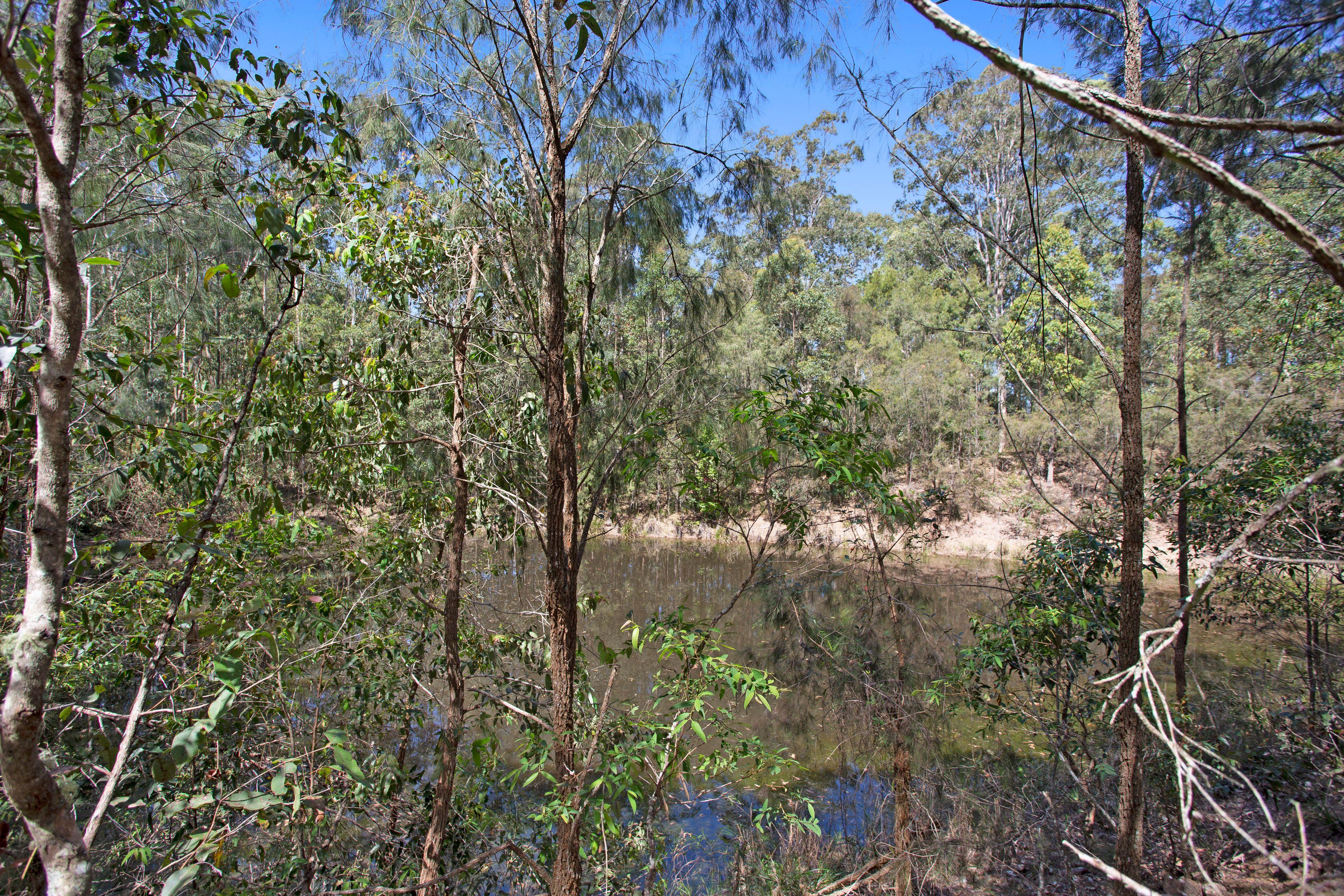 A Peaceful Retreat within 5 minutes of Bulahdelah